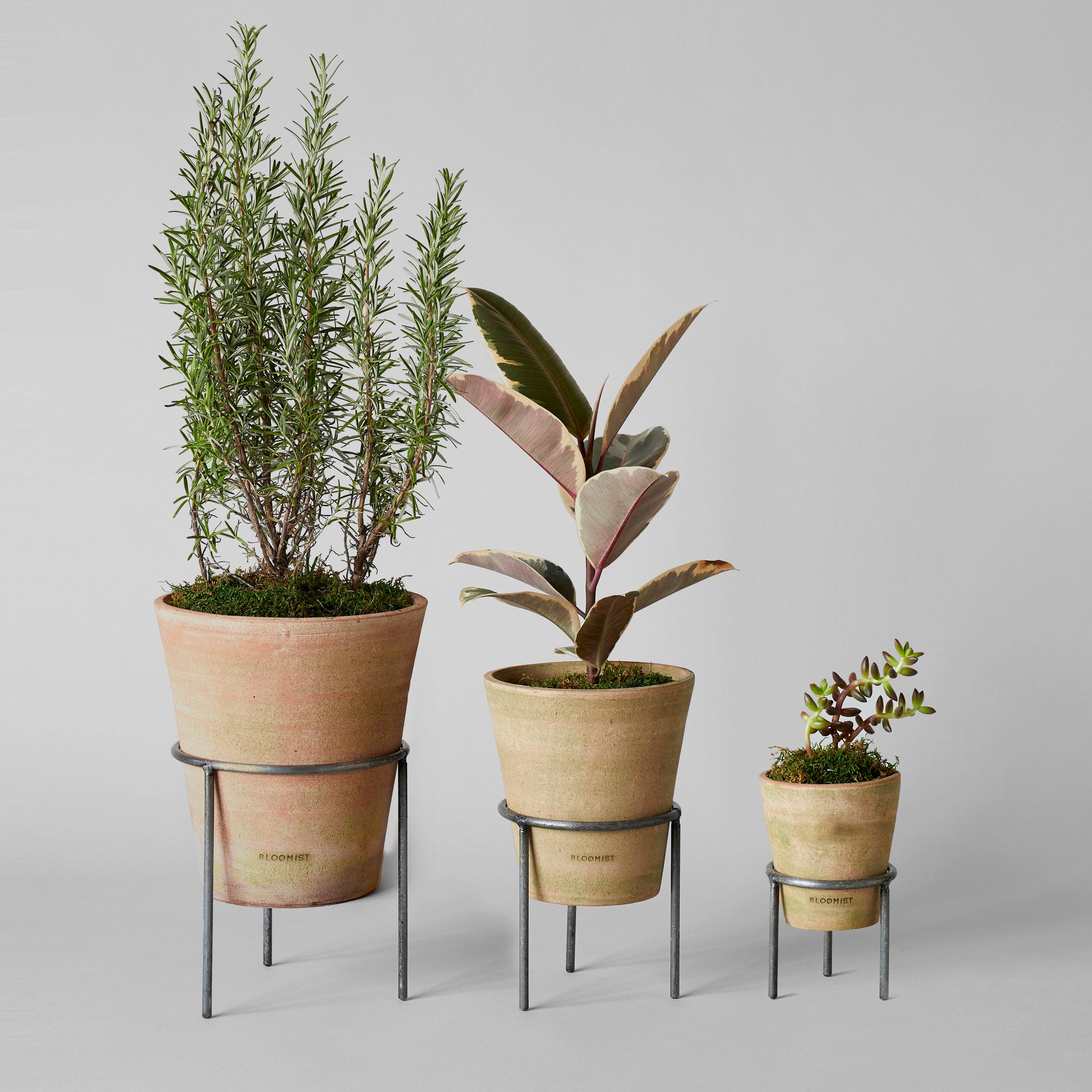 Bloomist Bloomist - Studio Planter, Greenwash