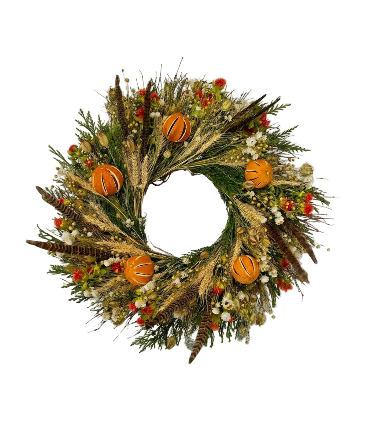 Bloomist SHOP Brooke Dried Pheasant and Citrus Wreath, 22"