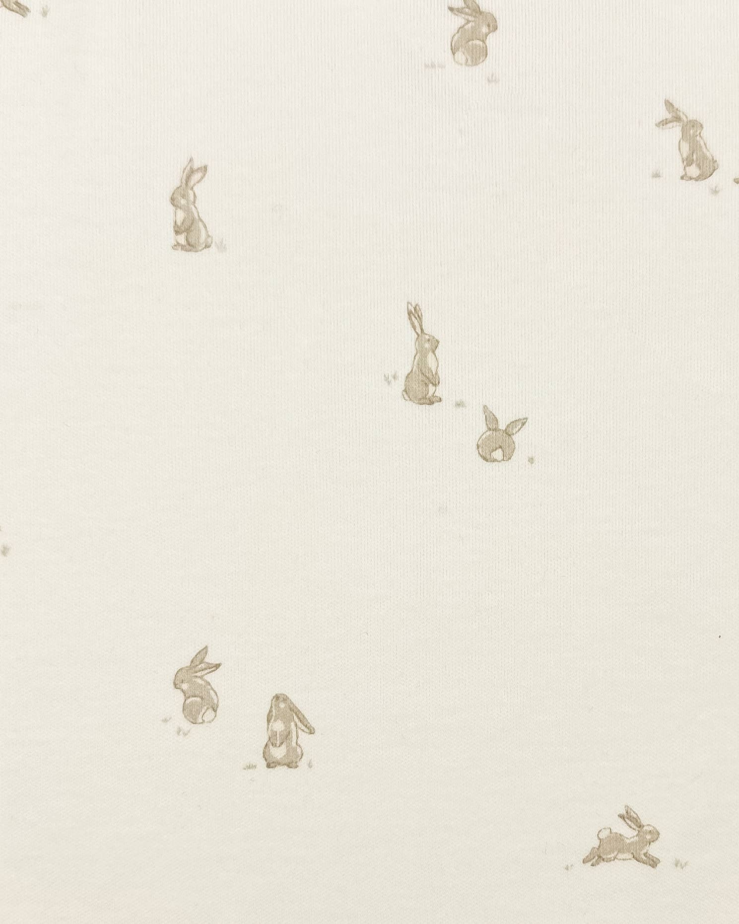 Colored Organics Baby Clothing Bunny Bodysuit