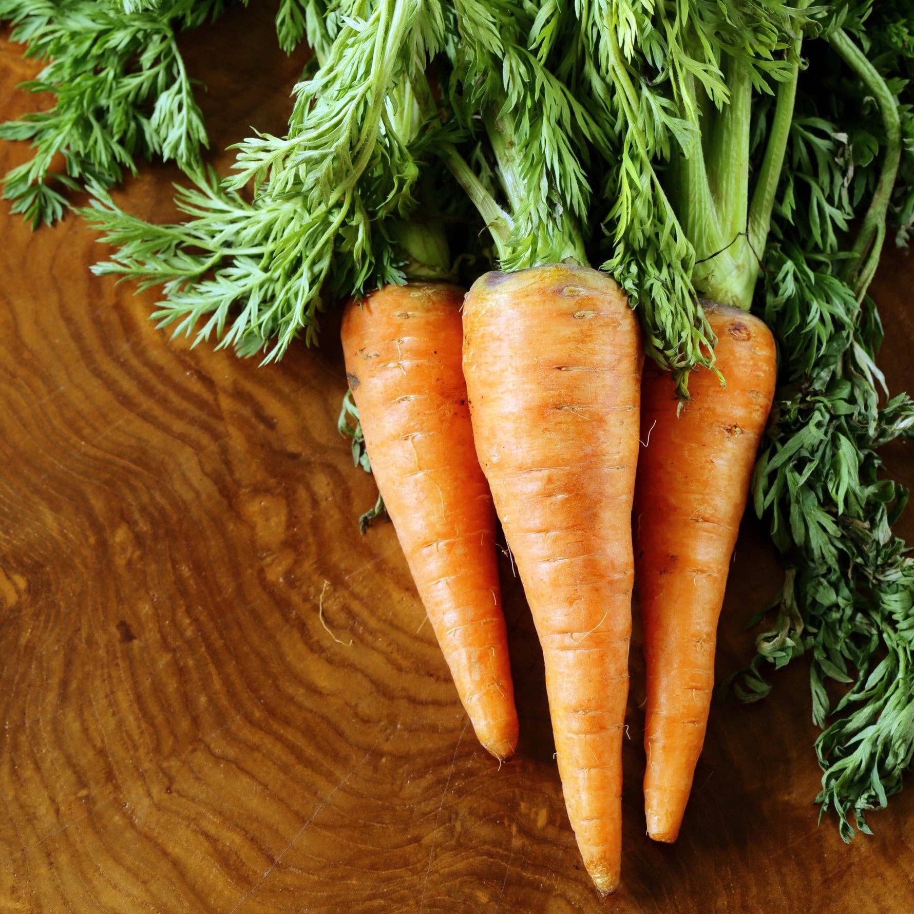 Schoepp Seeds Seeds Carrots, Half Long Seed Packets