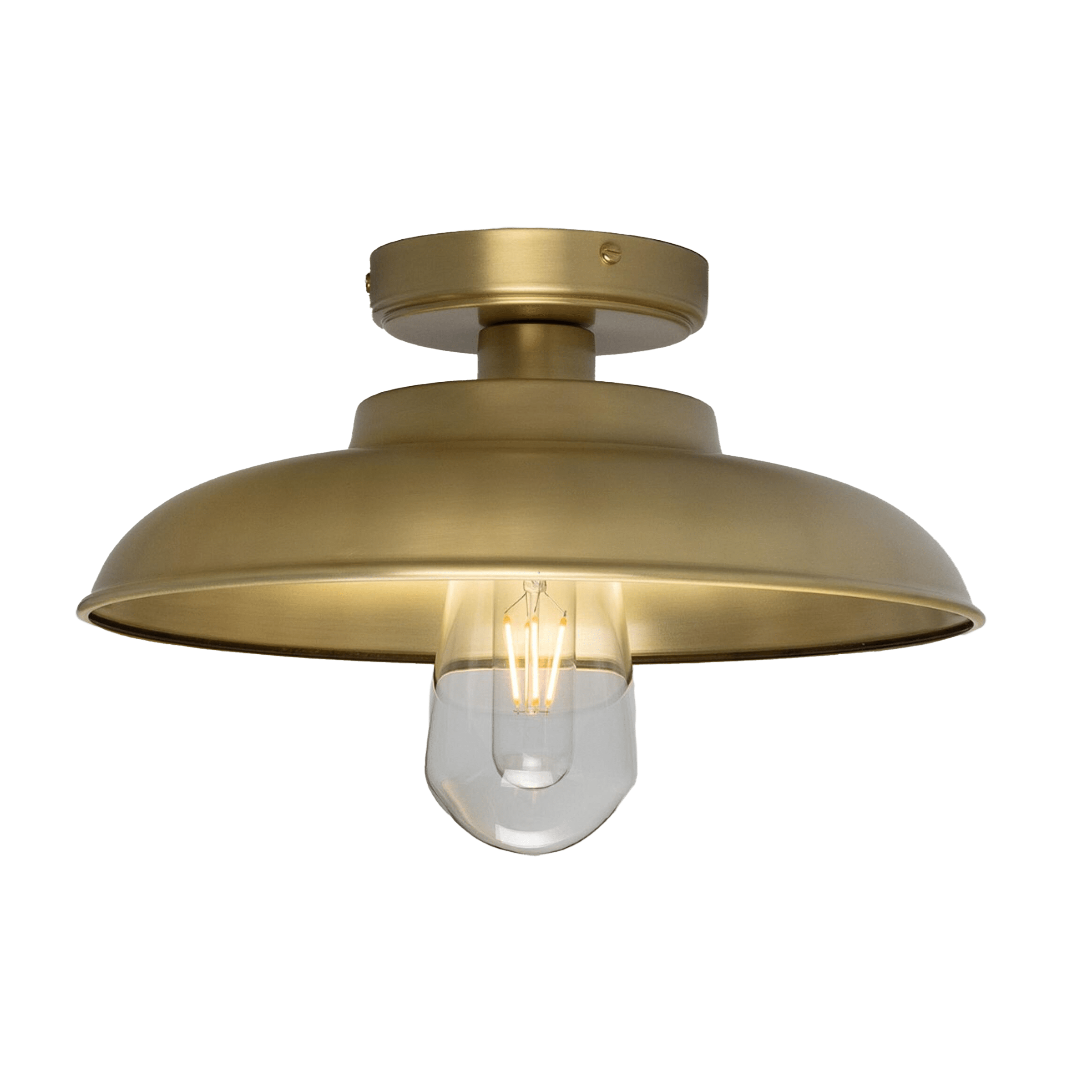 Mullan Lighting Lighting Satin Brass (Indoor Only) / Clear Darya Outdoor Industrial Brass Ceiling Light
