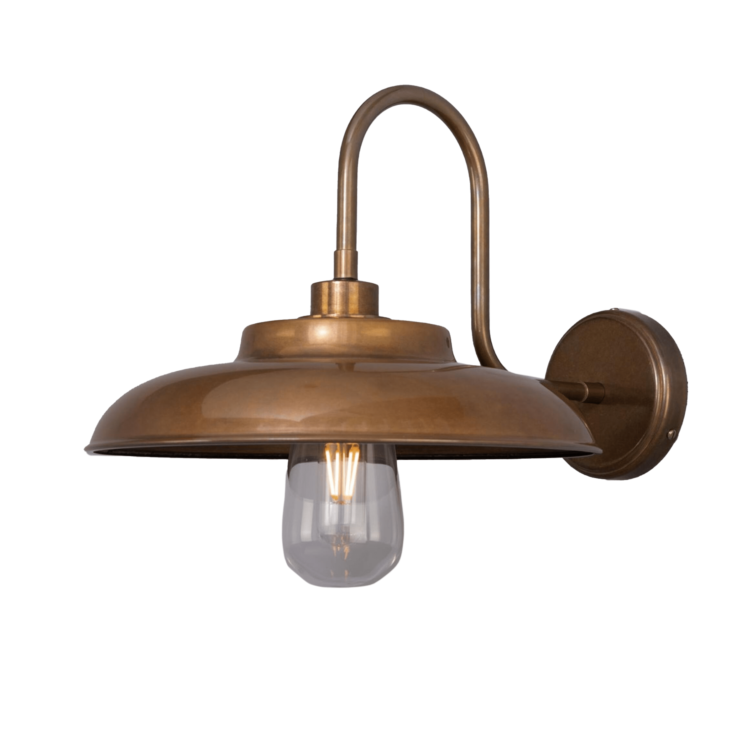Mullan Lighting Lighting Antique Brass / Clear Darya Outdoor Swan Neck Wall Sconce
