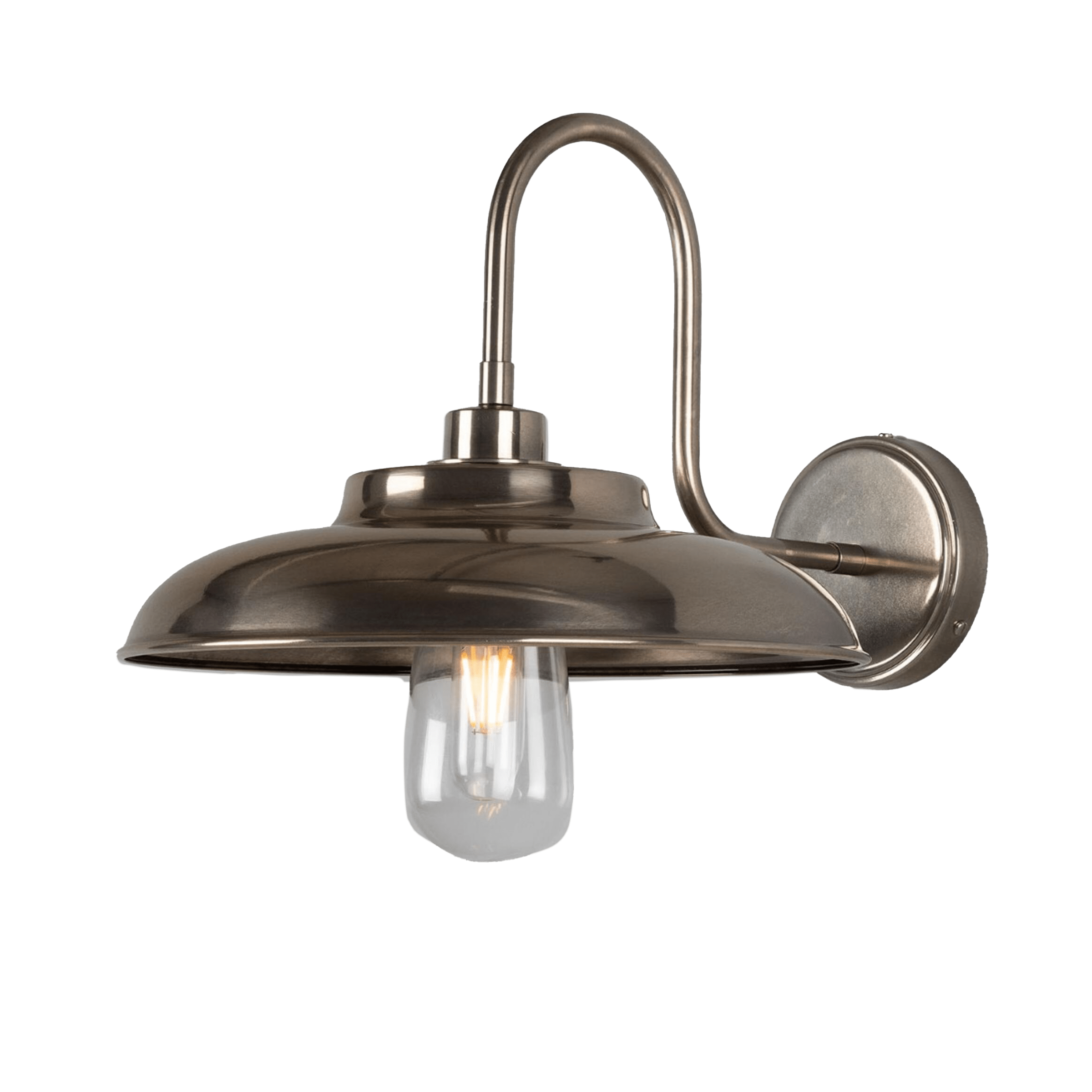 Mullan Lighting Lighting Antique Silver (Indoor Only) / Clear Darya Outdoor Swan Neck Wall Sconce