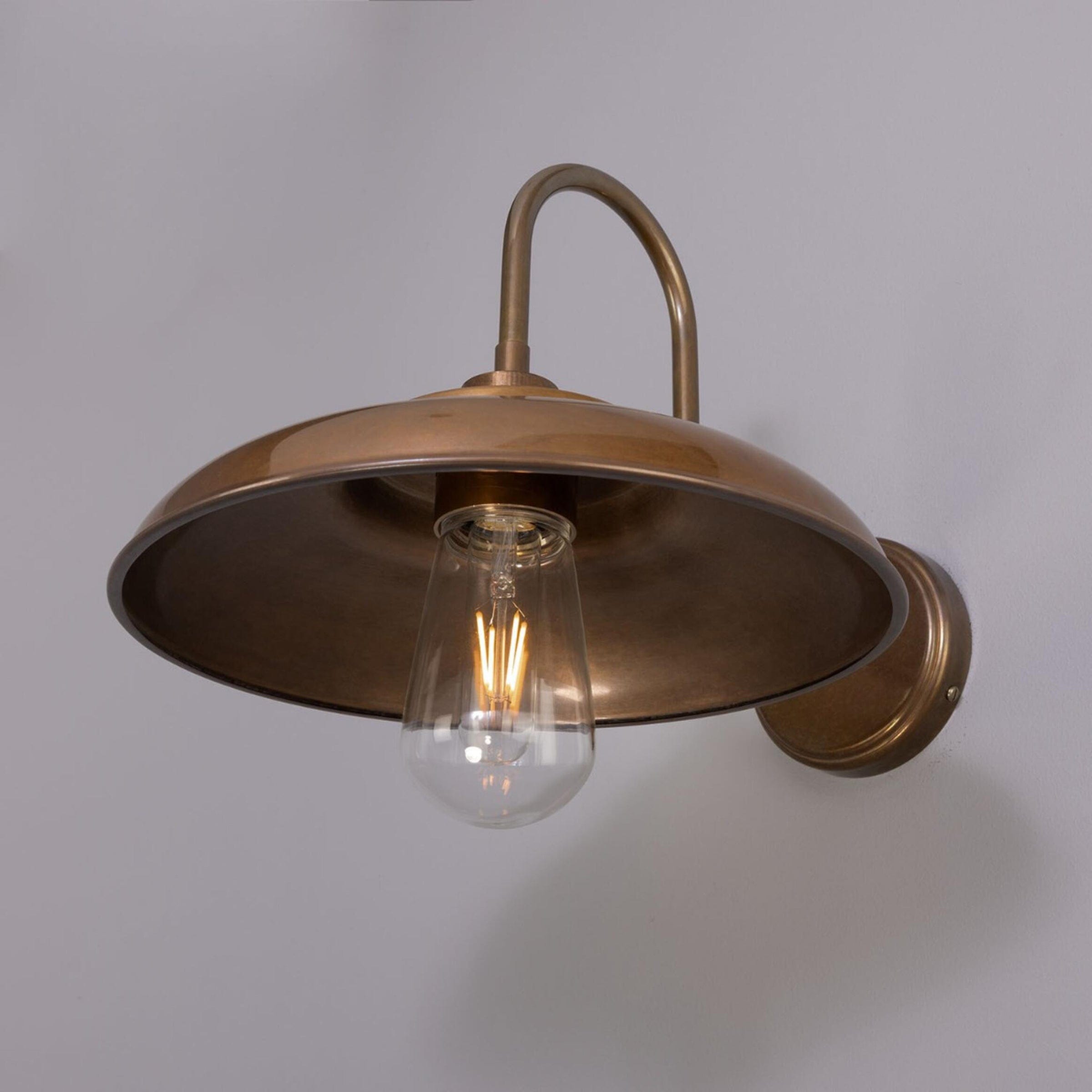 Mullan Lighting Lighting Darya Outdoor Swan Neck Wall Sconce