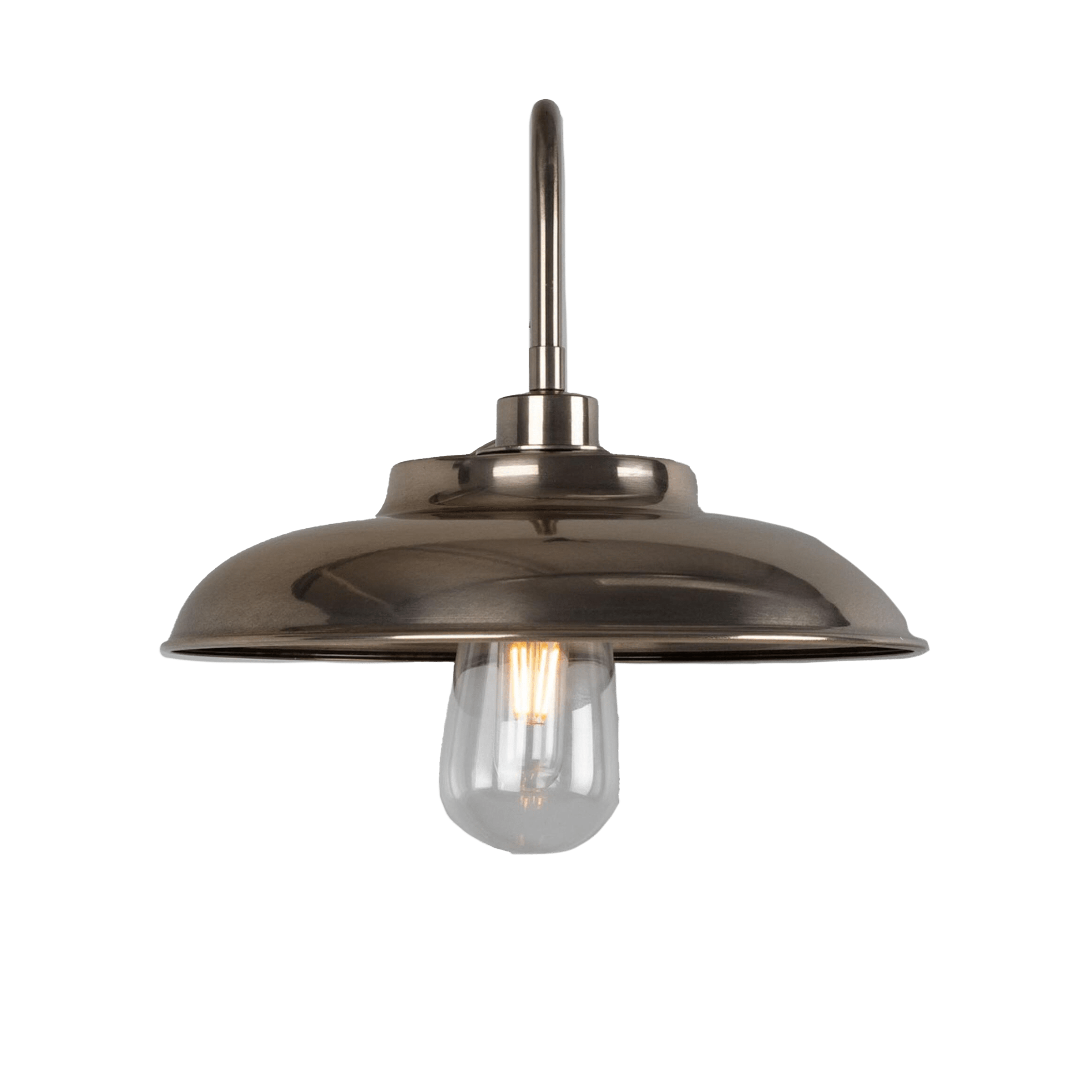 Mullan Lighting Lighting Darya Outdoor Swan Neck Wall Sconce
