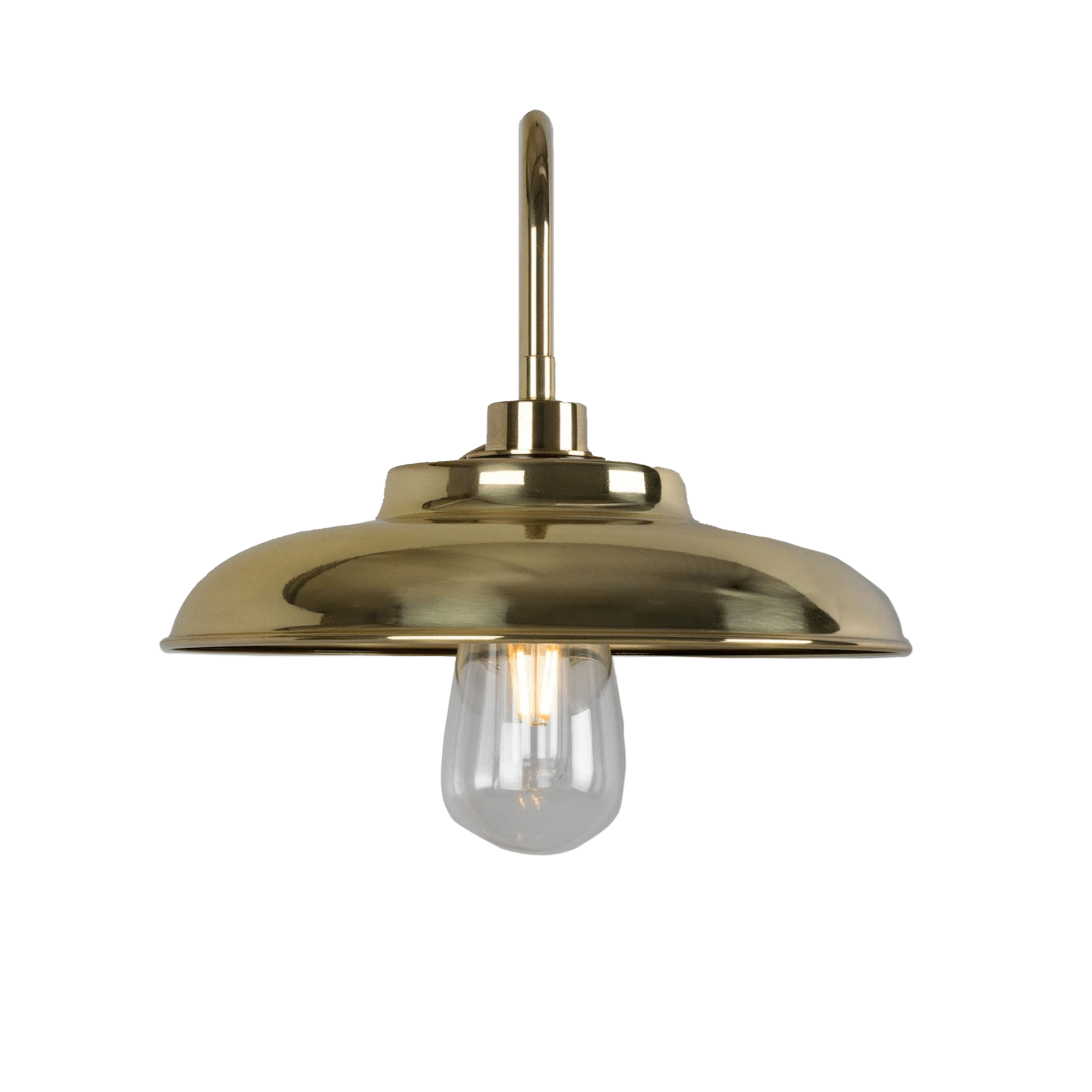 Mullan Lighting Lighting Darya Outdoor Swan Neck Wall Sconce