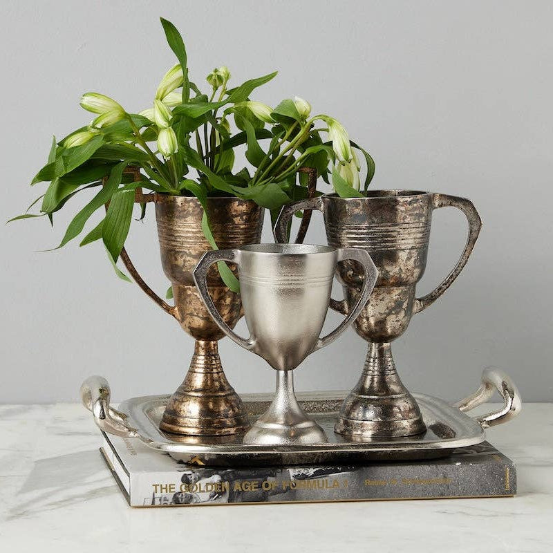 etúHOME SHOP Distressed Silver Trophy Cup, Large