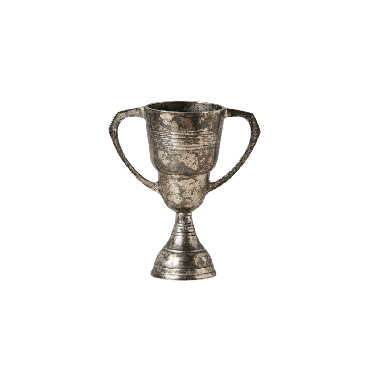 etúHOME SHOP Distressed Silver Trophy Cup, Large