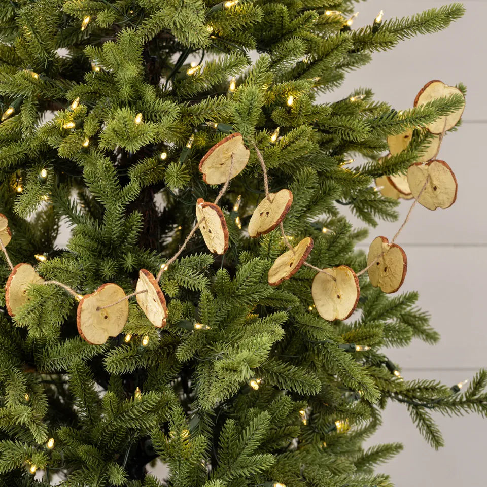 Ragon House SHOP Dried Apple Slice Christmas Garland