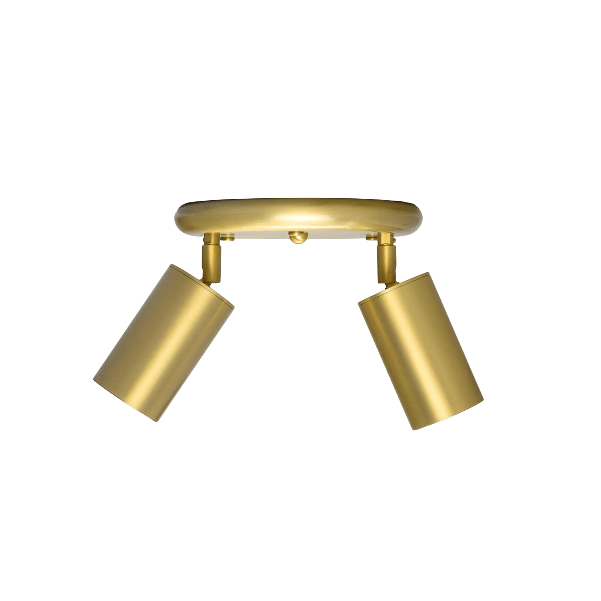 Mullan Lighting Lighting Satin Brass Evanston Two Light Directional Brass Ceiling Spotlight