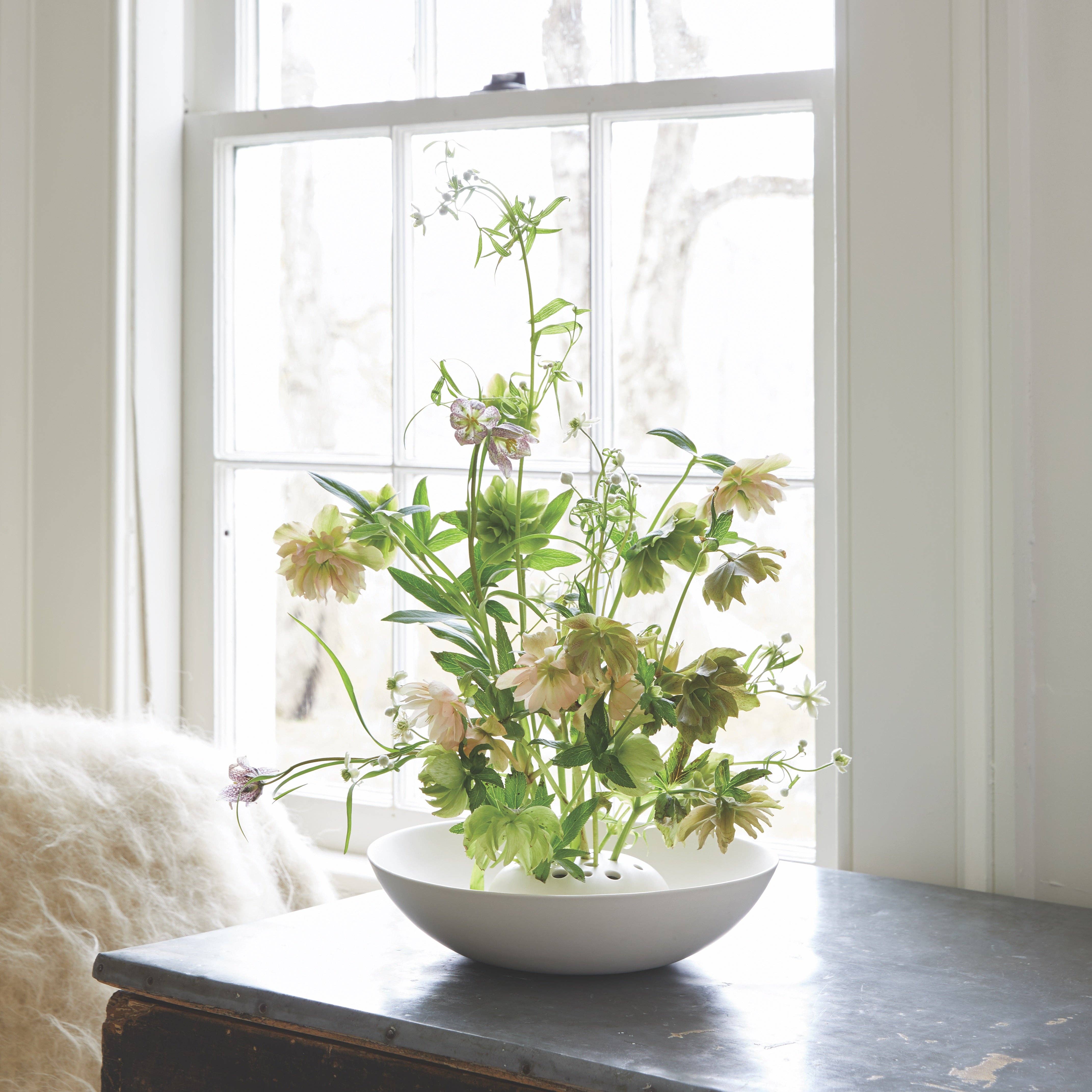 The Floral Society SHOP Flower Frog Bowl Vase