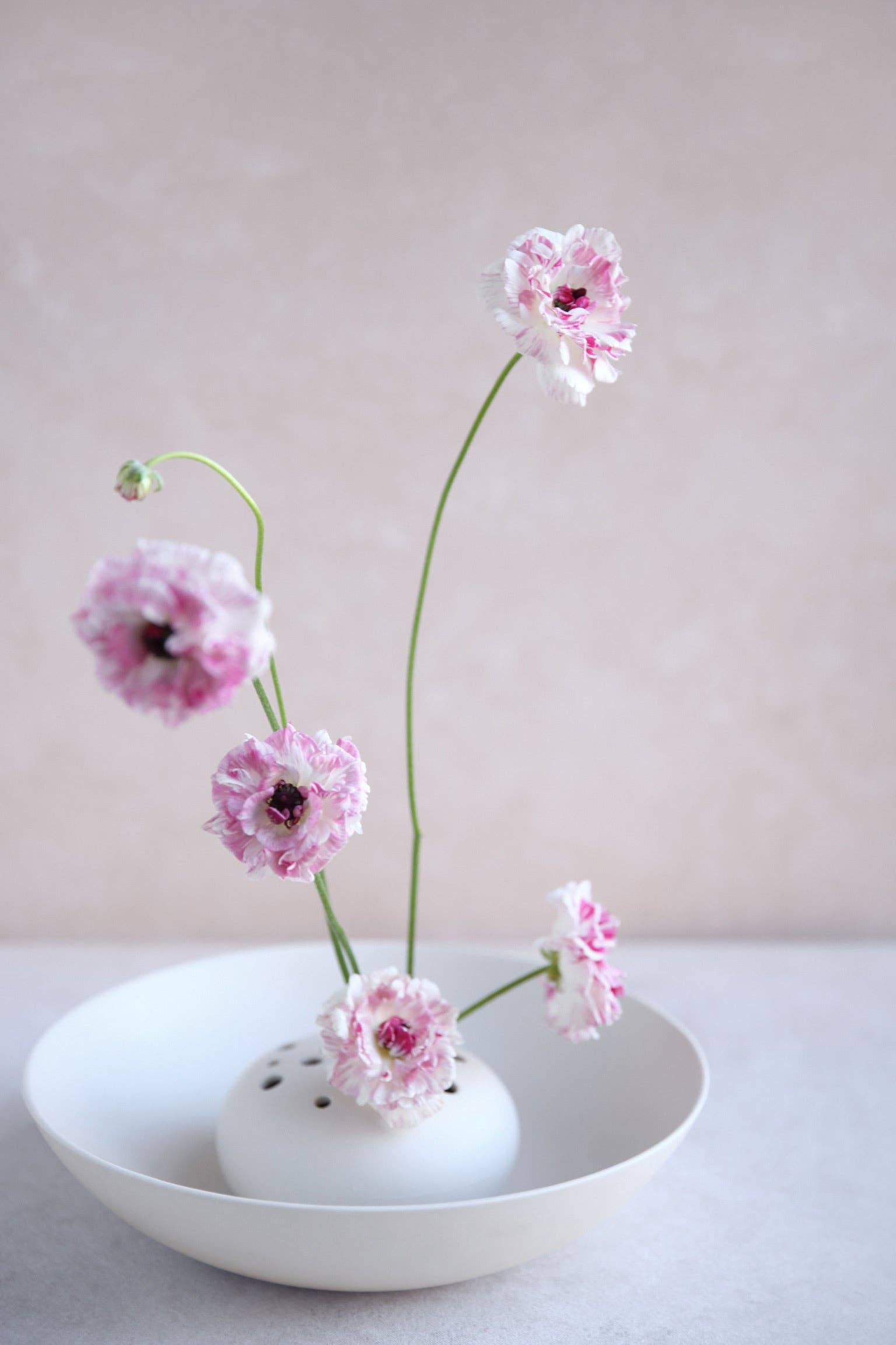 The Floral Society SHOP Flower Frog Bowl Vase