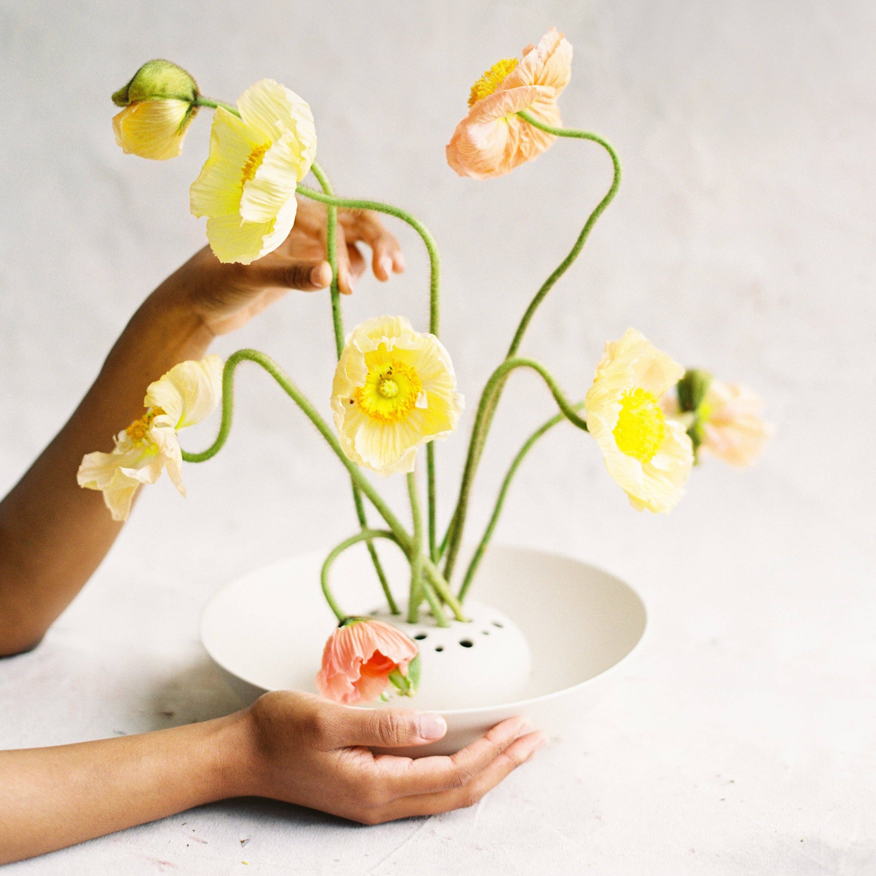 The Floral Society SHOP Flower Frog Bowl Vase