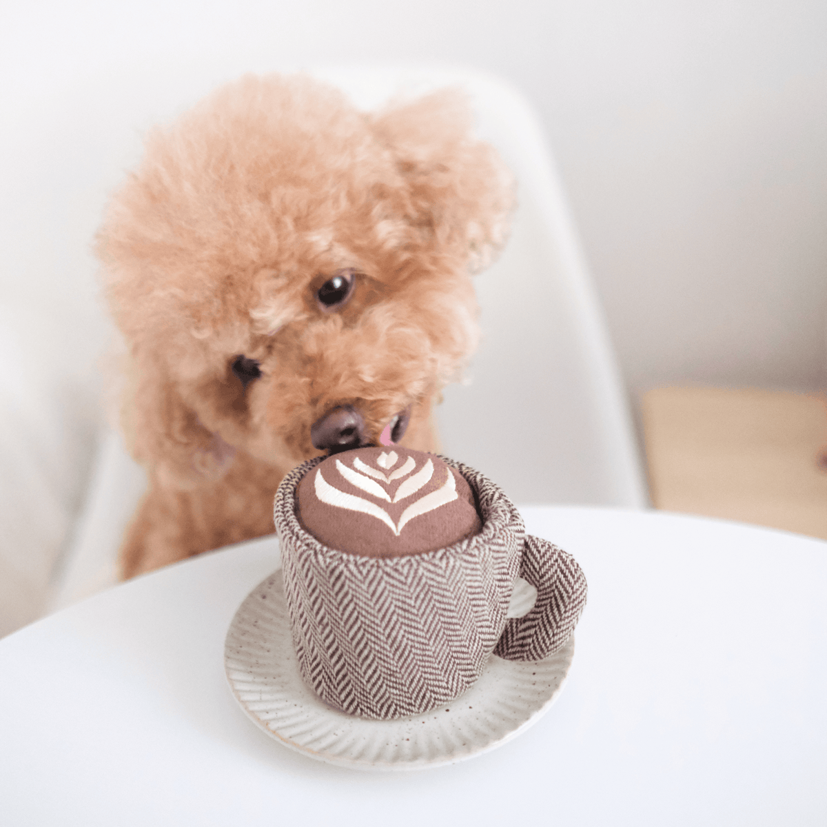 Lambwolf Collective SHOP Latte Pop Dog Toy