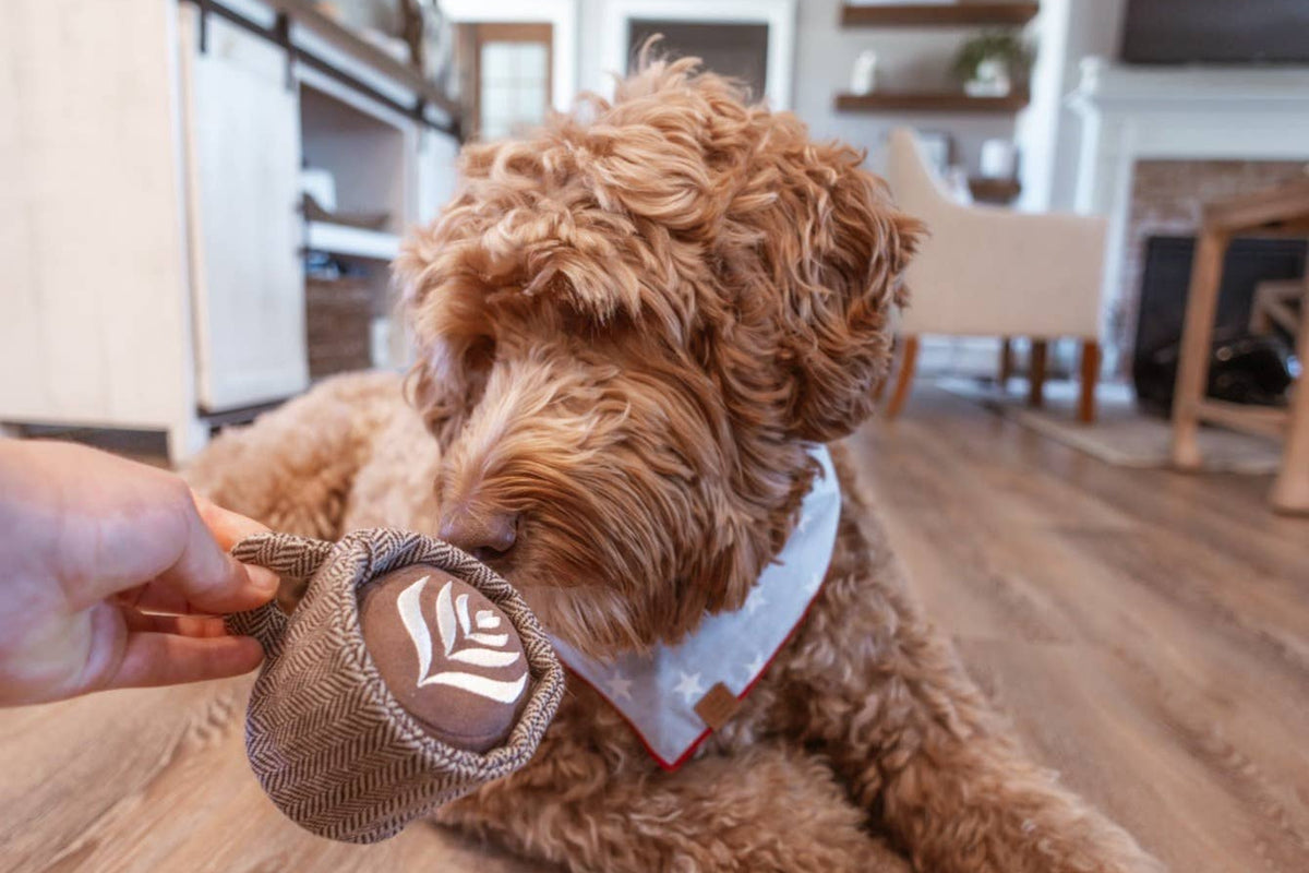 Lambwolf Collective SHOP Latte Pop Dog Toy