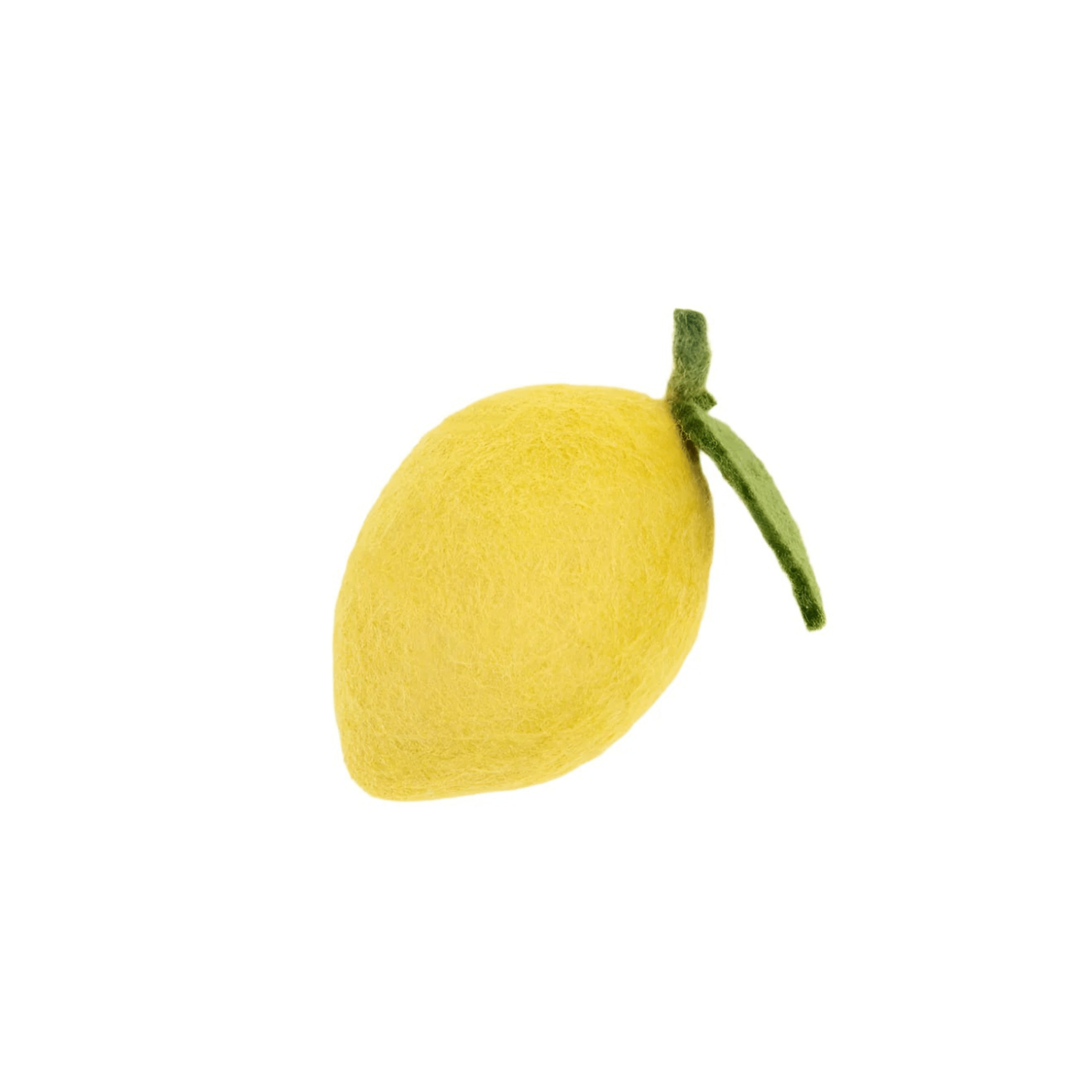 MODERNBEAST Pet Lemon Dog + Cat Toy