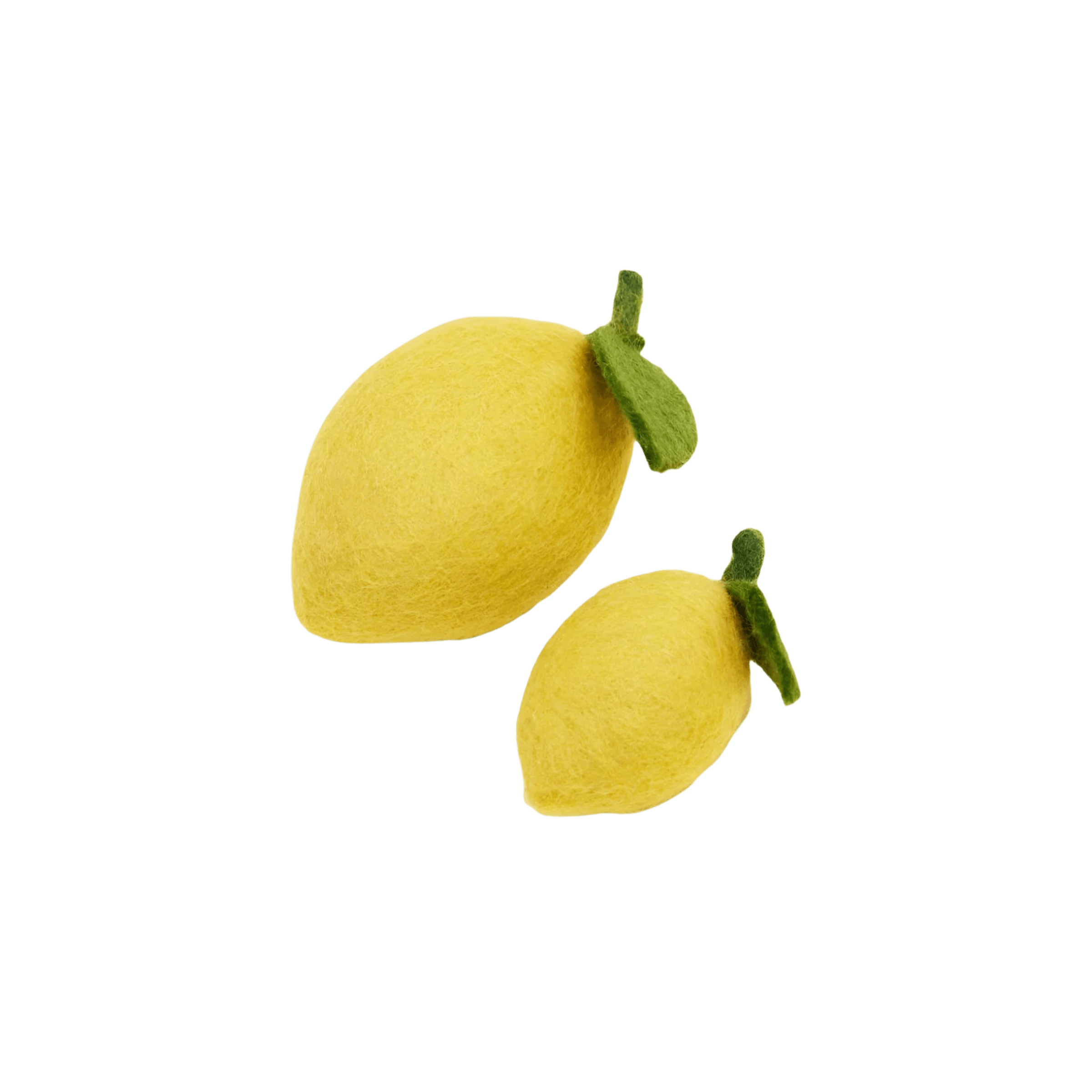 MODERNBEAST Pet Lemon Dog + Cat Toy