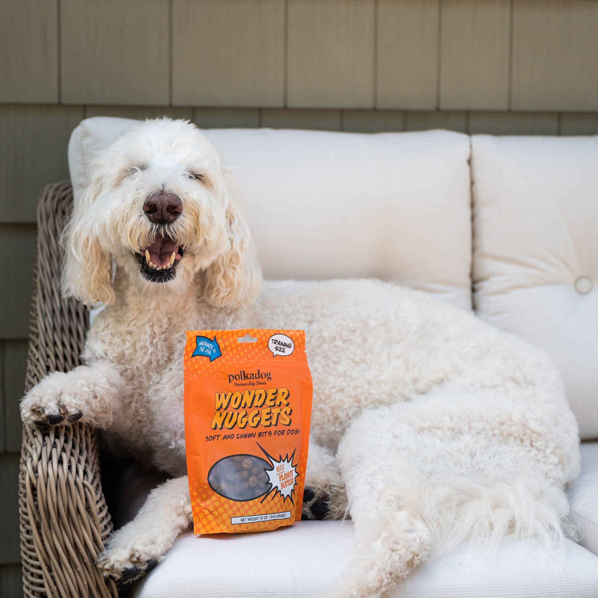 Polkadog Pet Peanut Butter Nugget Treats