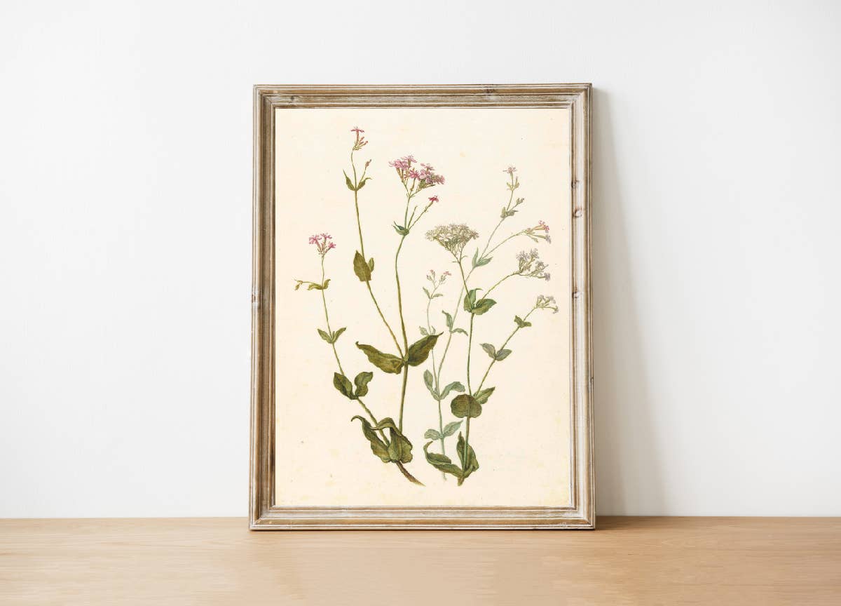 Pink Lemon Decor 8x10in Pink Lemon Decor - Wildflower Vintage Art