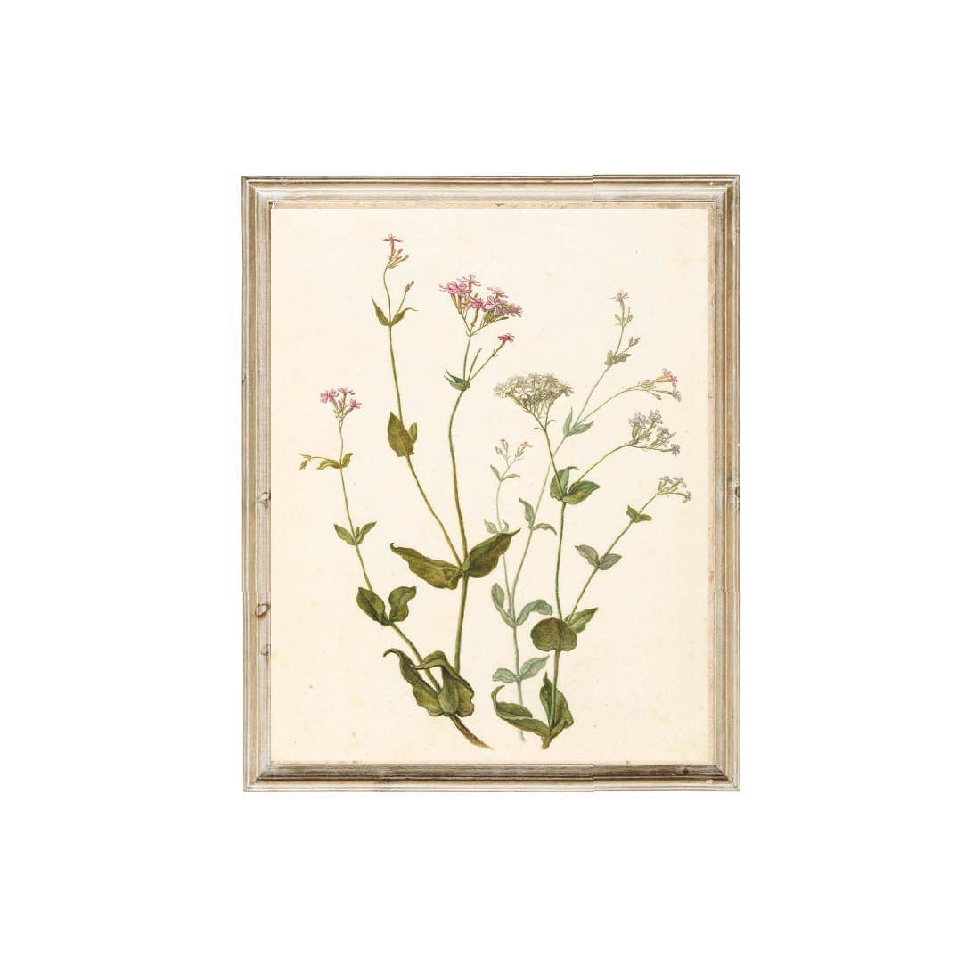 Pink Lemon Decor 8x10in Pink Lemon Decor - Wildflower Vintage Art