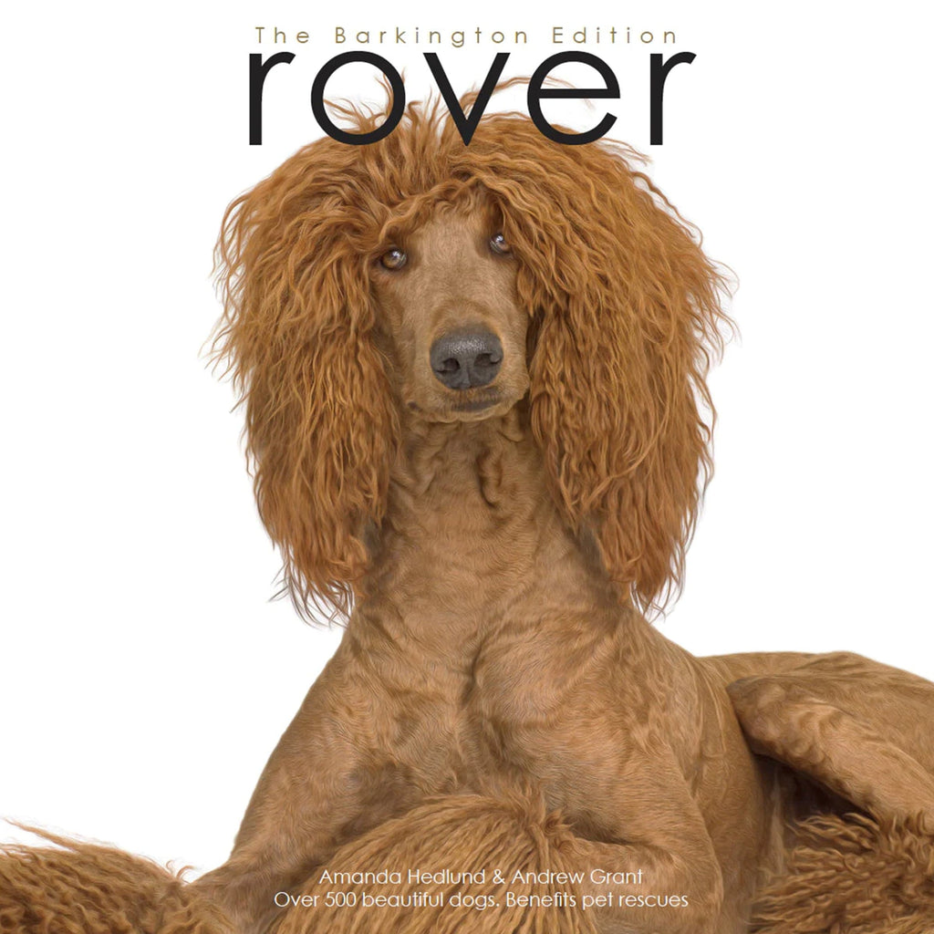 Rover Book "Miko" the Standard Poodle Rover Barkington Edition