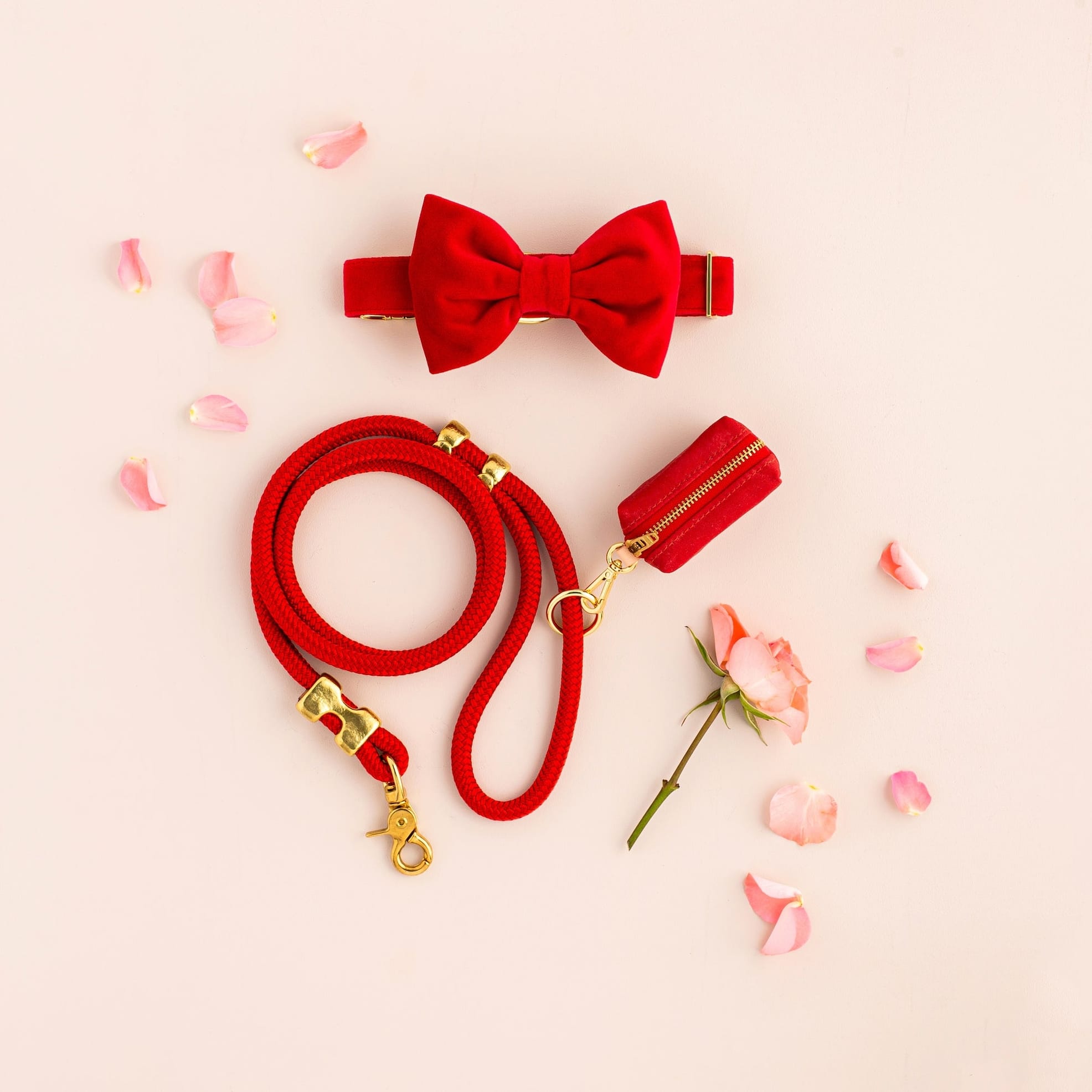 The Foggy Dog SHOP Ruby Marine Rope Dog Leash