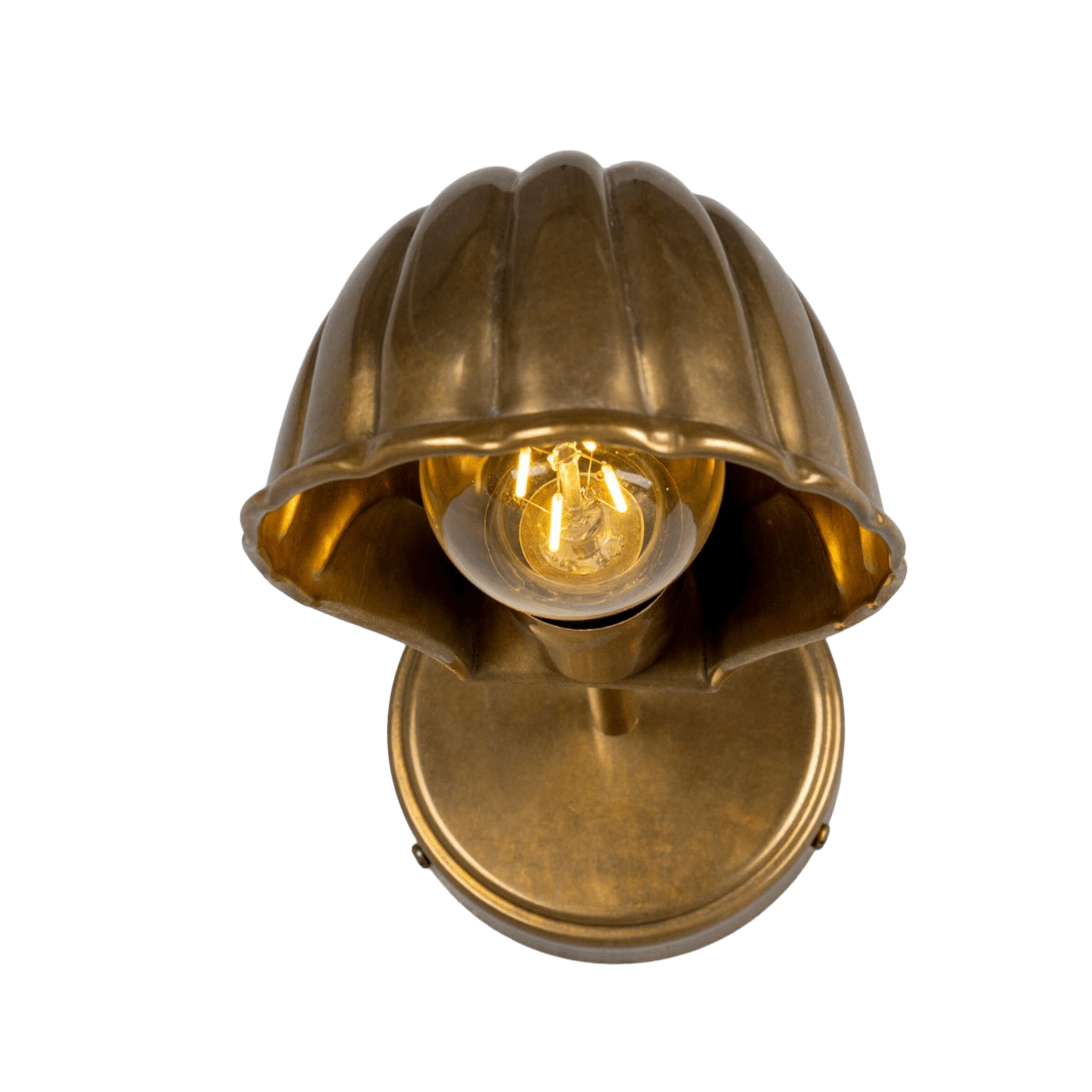 Mullan Lighting Lighting Shell Adjustable Brass Wall Sconce