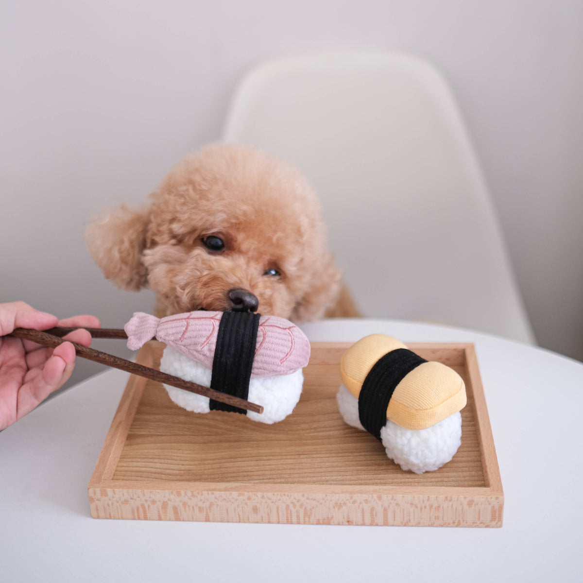 Lambwolf Collective SHOP Sushi Squeaky Dog Toy