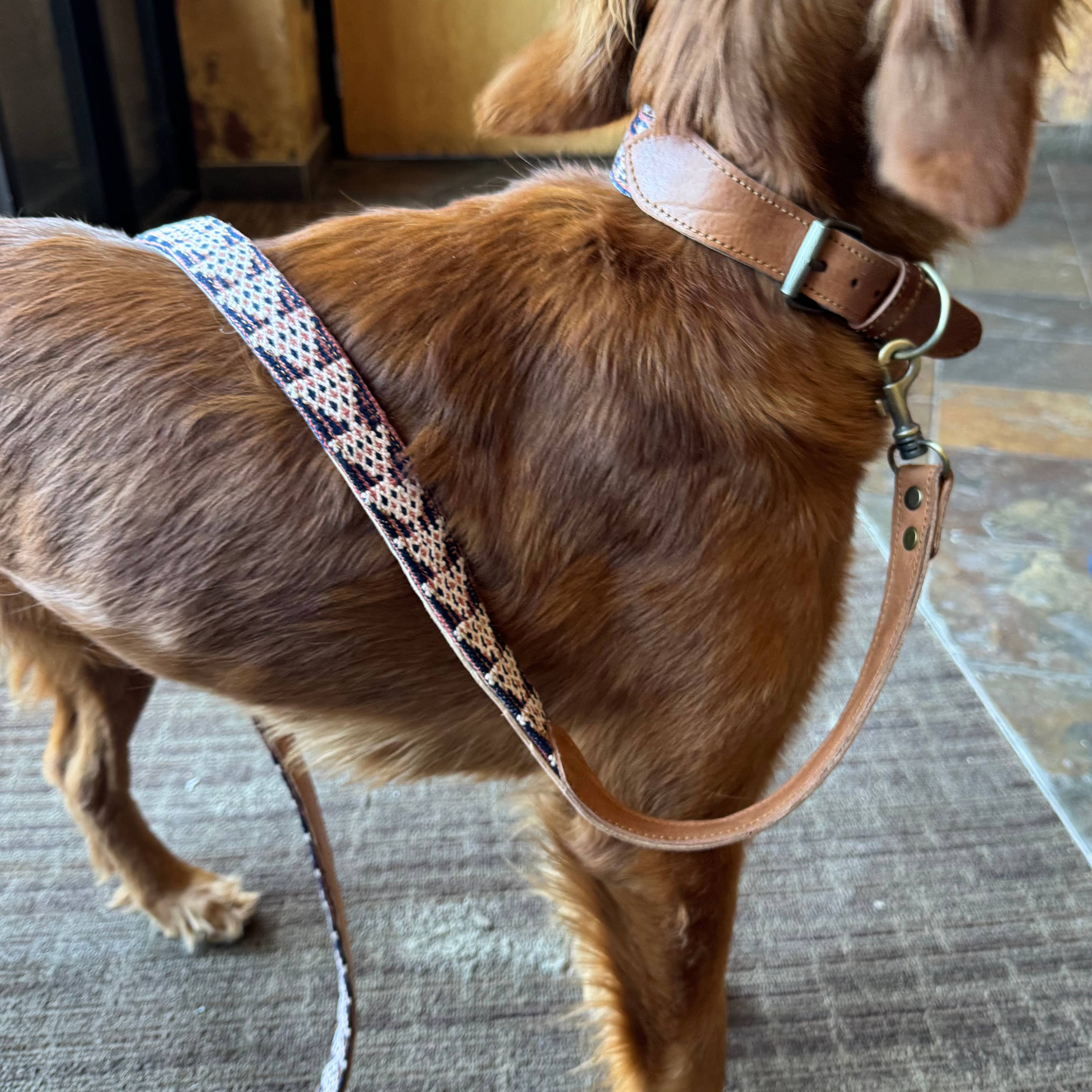 Verve Culture Pet Vintage Kilim & Leather Dog Collar and Leash Set