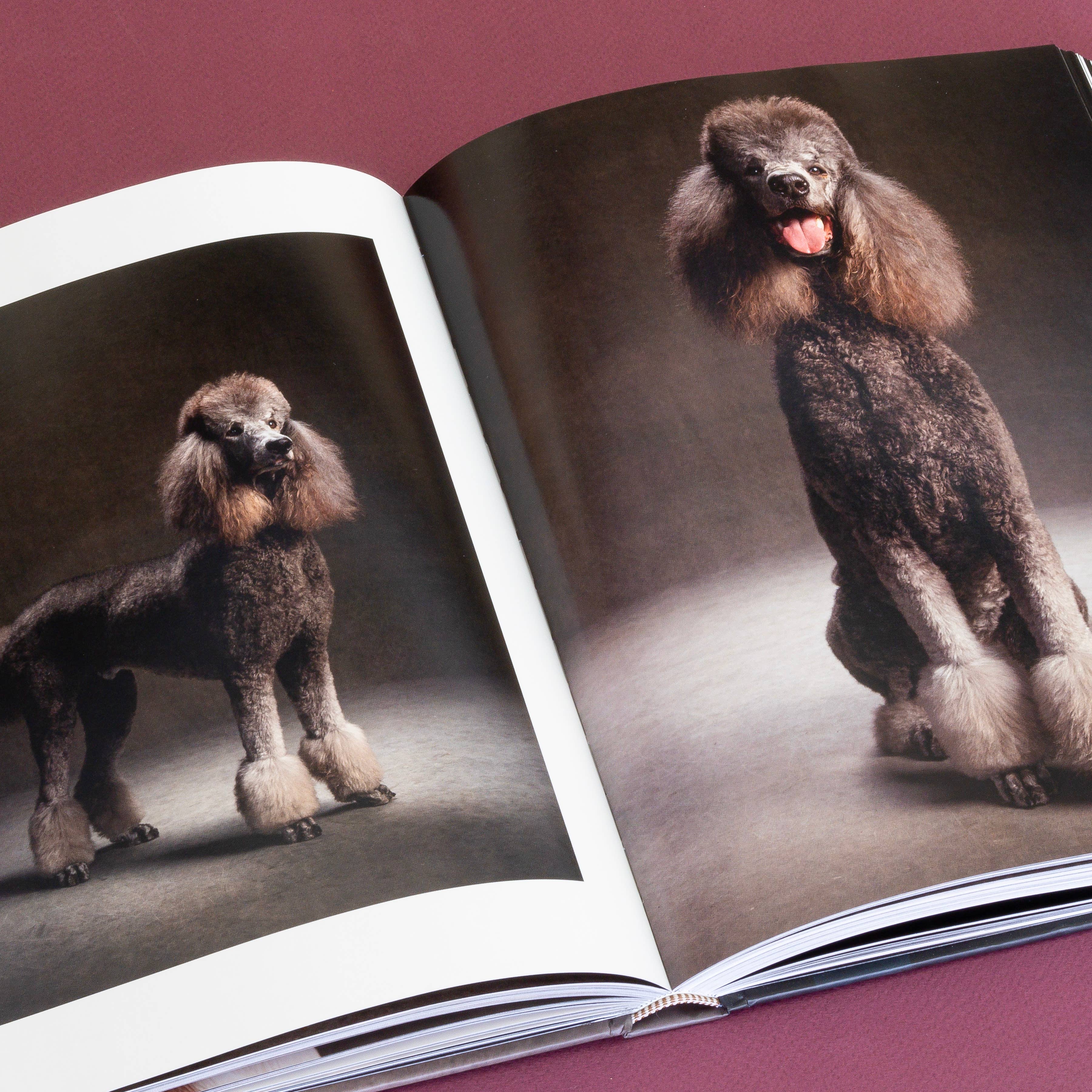 Chronicle Books Book Year of the Dogs