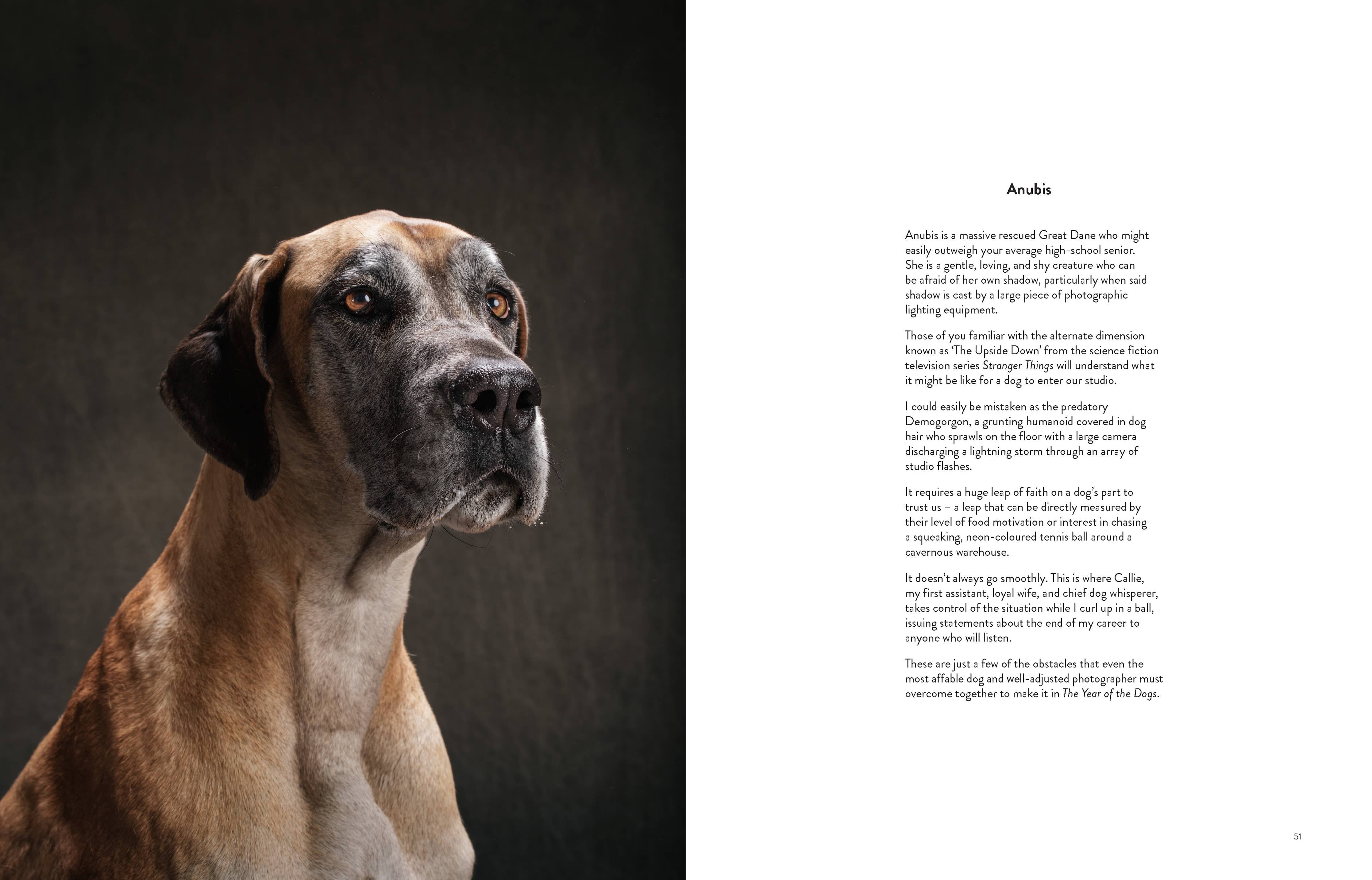 Chronicle Books Book Year of the Dogs