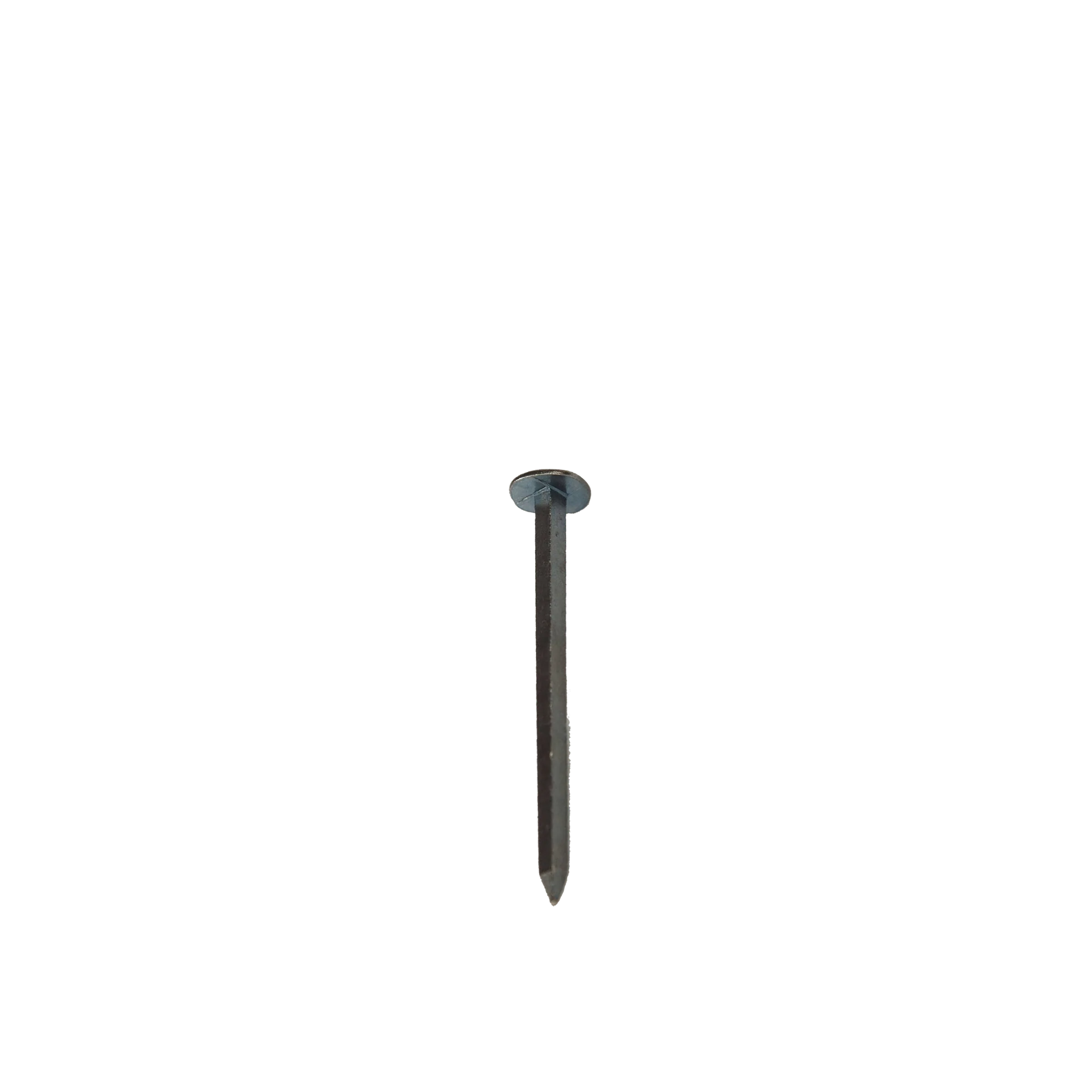 Brut Homeware Hardware Forged Iron Nail, Medium