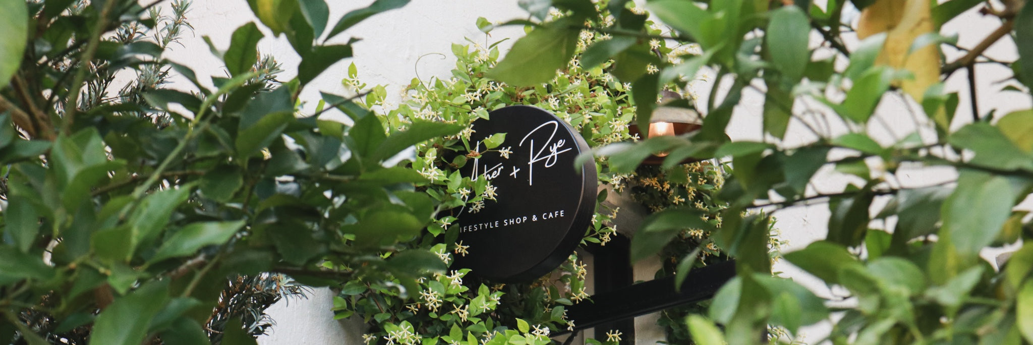 We Never Planned to Open a Café