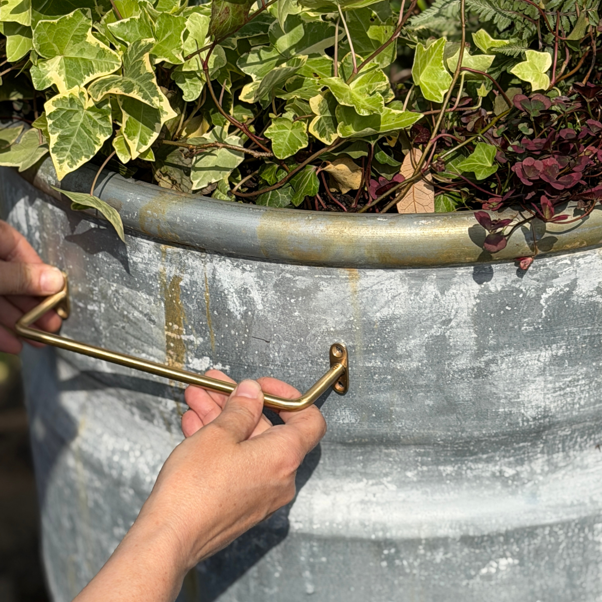 Build a Container Garden