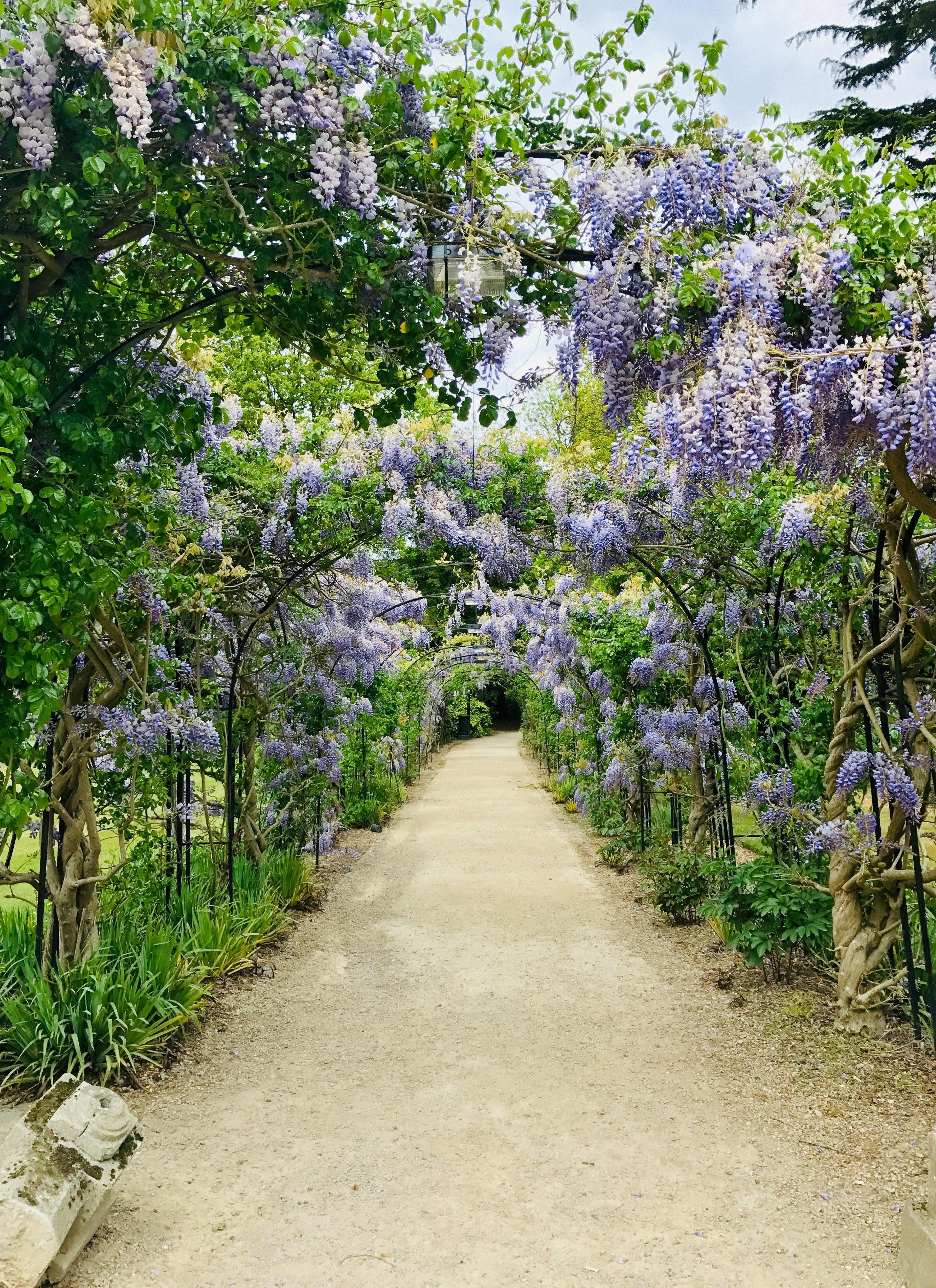 For the Gardener