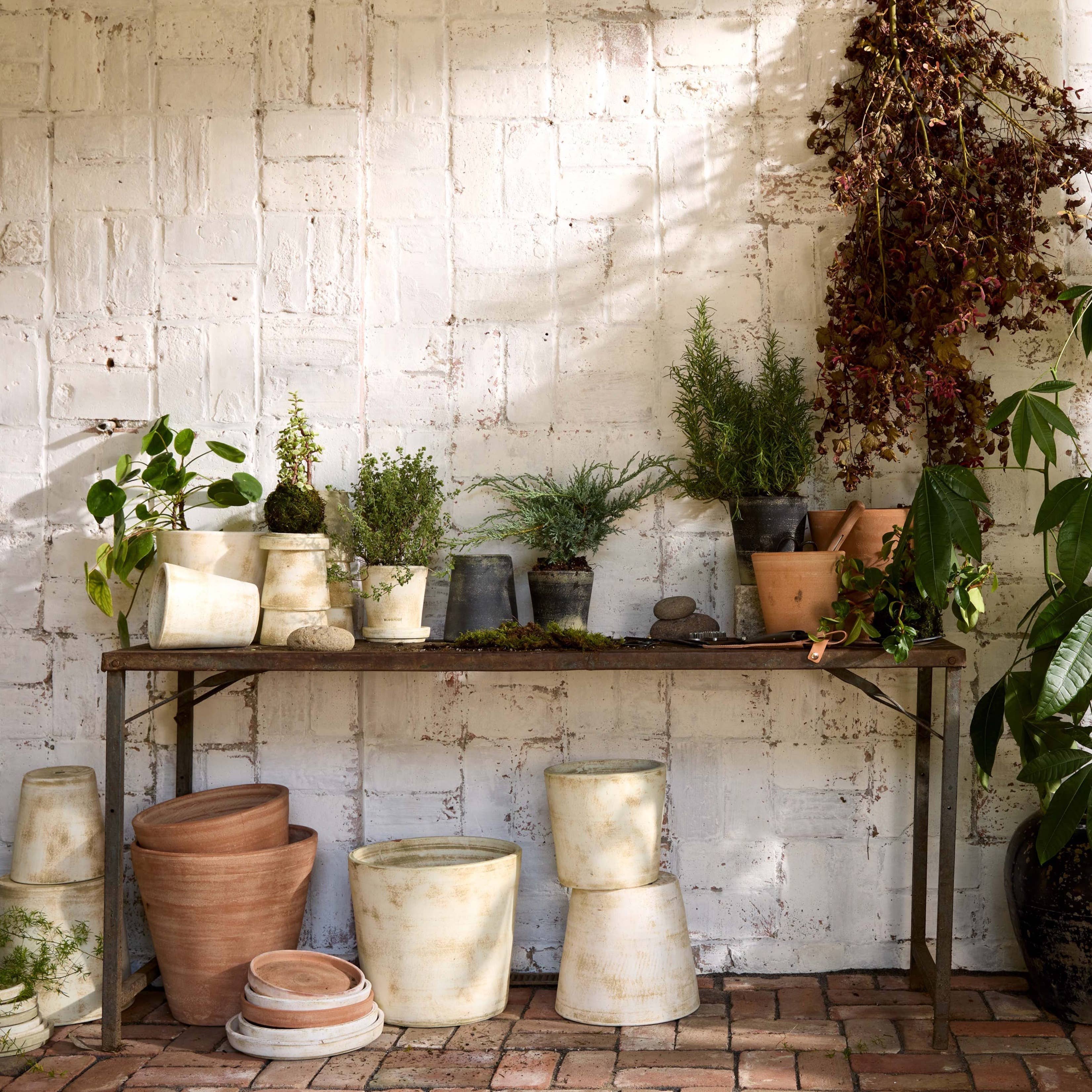 Planters + Pots