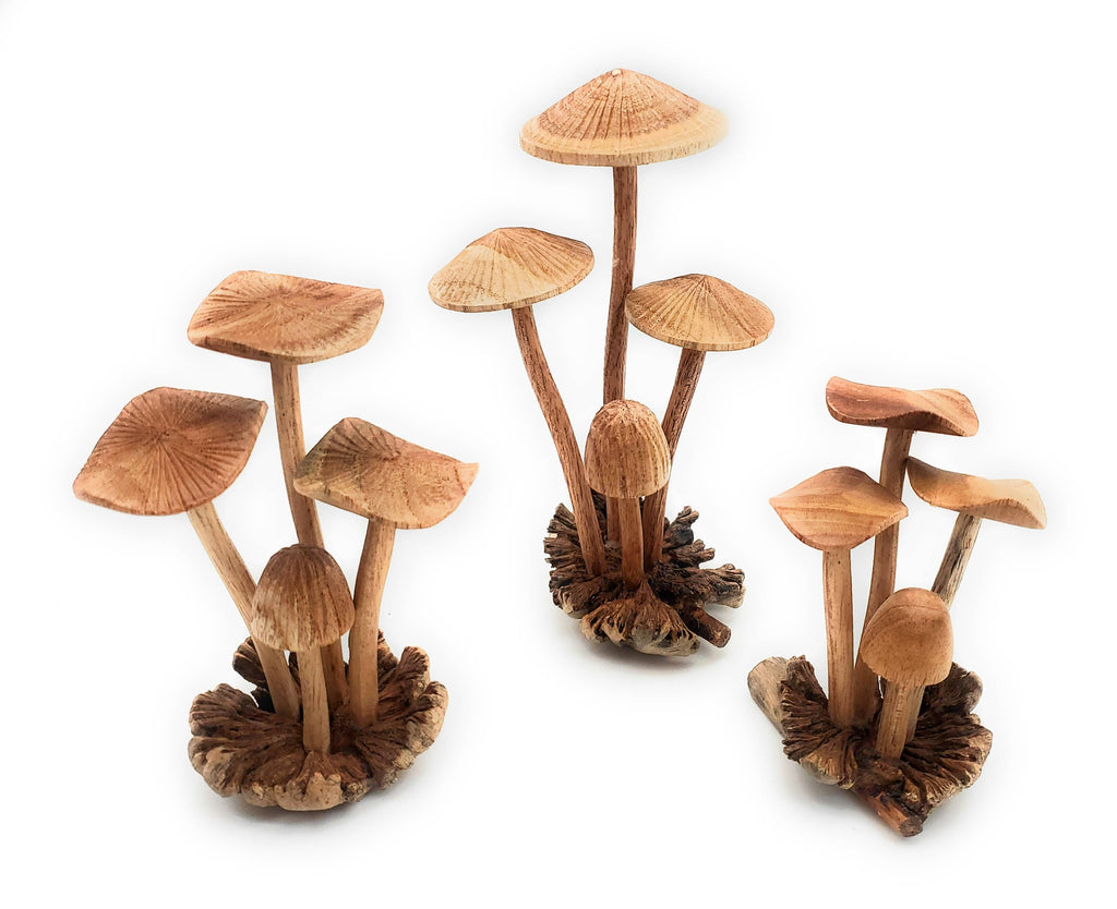 A Lost Art A Lost Art - Hand Carved Medium Wooden Mushroom