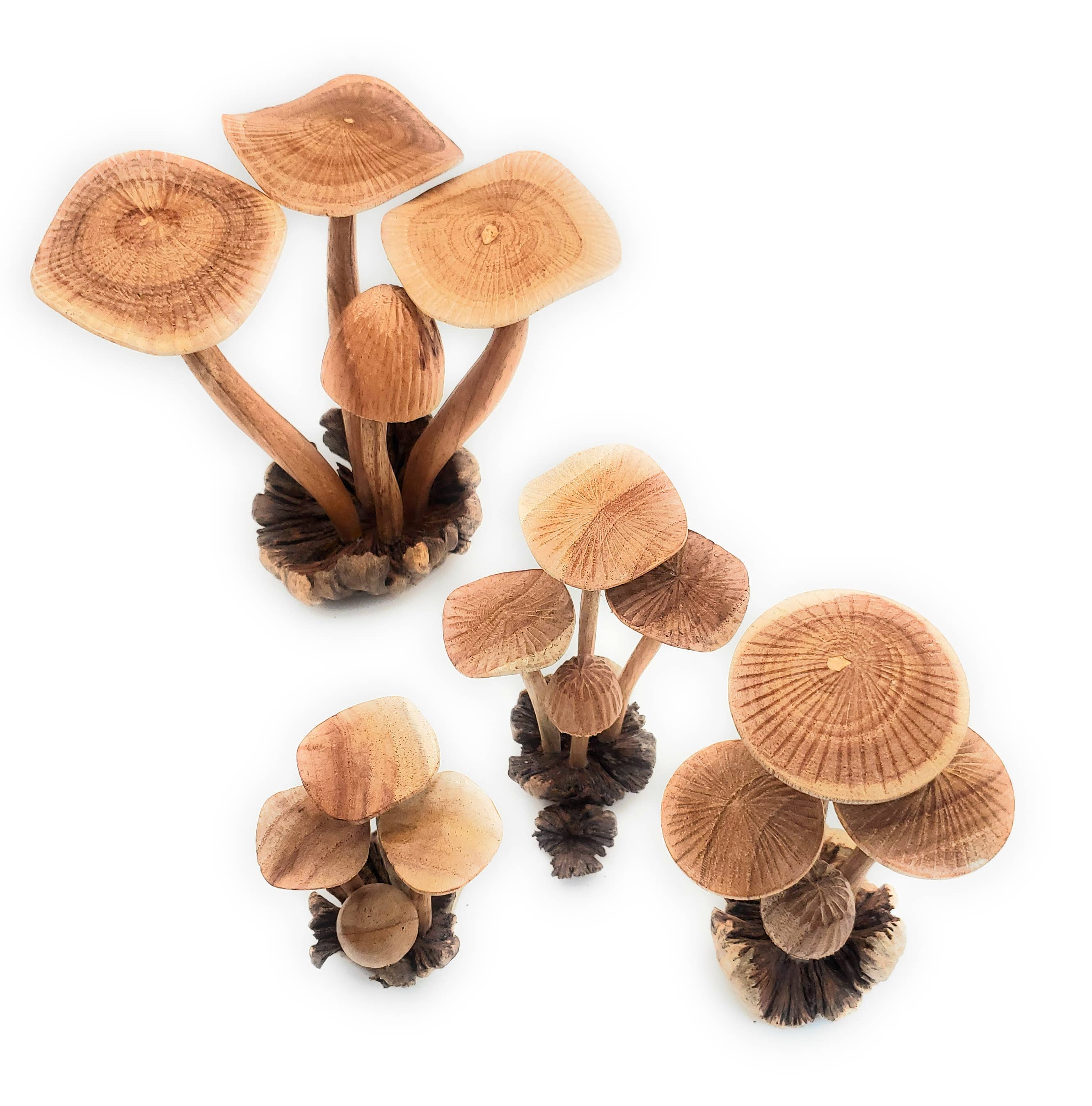 A Lost Art A Lost Art - Hand Carved Medium Wooden Mushroom