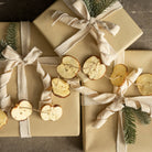 Ragon House SHOP Apple Slice Garland