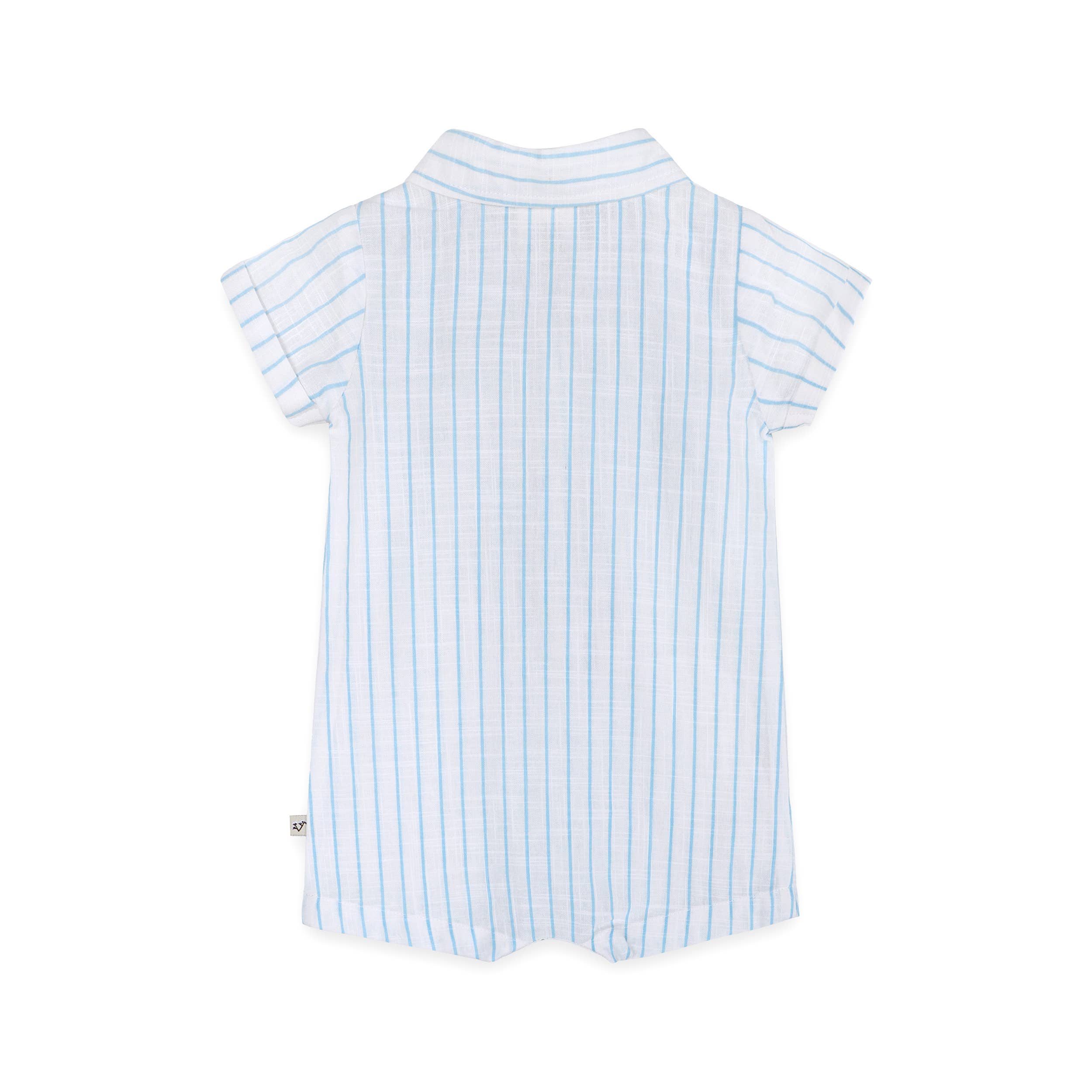 Viverano Organics Aqua Embroidered Baby Romper (Organic)