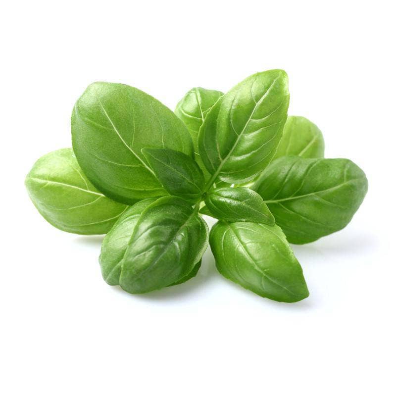 Schoepp Seeds Seeds Basil, Genovese Sweet Seed Packets