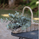 Basketly One Size Basketly - Garden Trug Basket