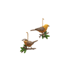 Kurt S. Adler, Inc. SHOP Bird on Pine Branch Christmas Ornament
