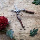 Bloomist Bloomist - Niwaki Kurumi Pro Snips