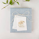 emily lex studio Bunny mini enclosure notecard