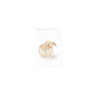 emily lex studio Greeting Card Bunny Mini Notecard