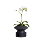 Bloomist Charcoal Wood Pedestal