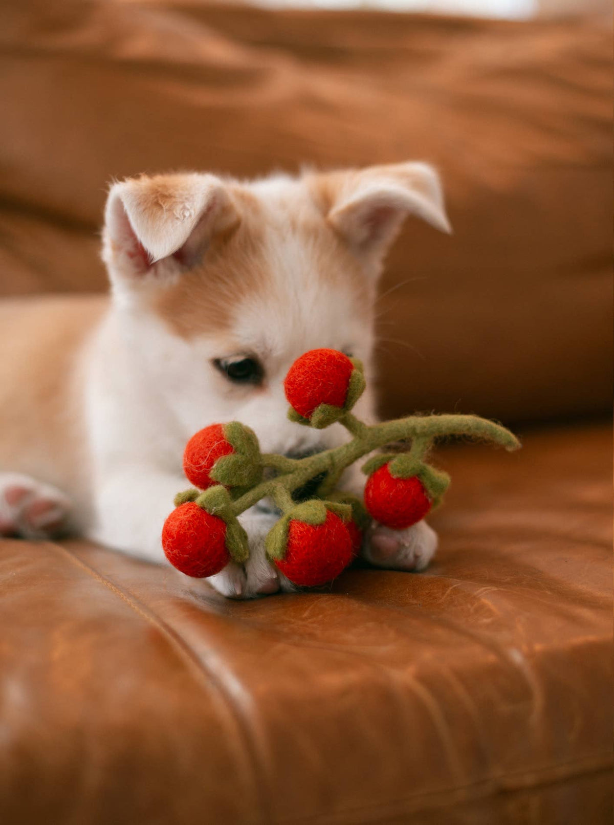 MODERNBEAST SHOP Cherry Tomato Vine Woolly Pet Toy
