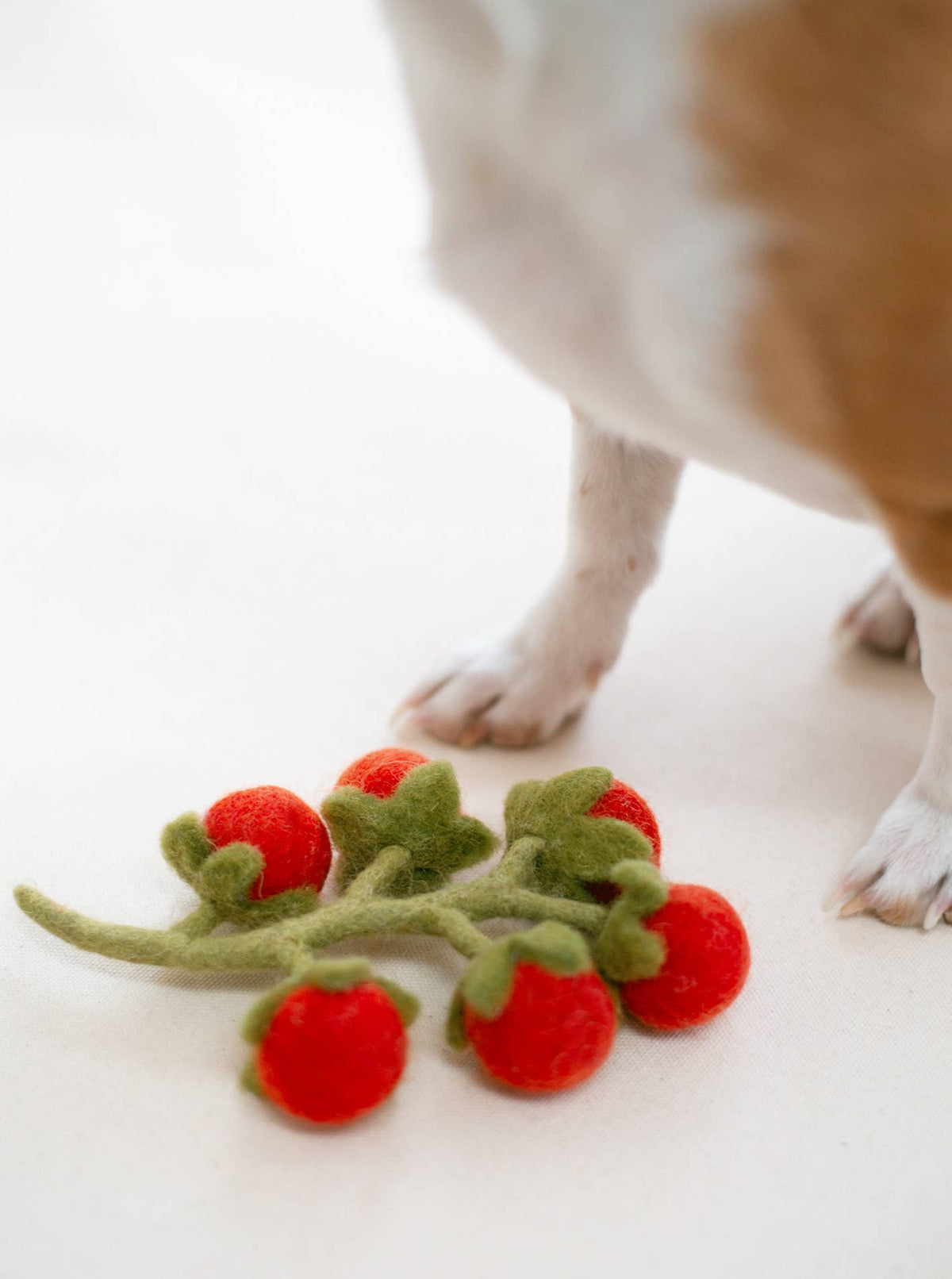 MODERNBEAST SHOP Cherry Tomato Vine Woolly Pet Toy