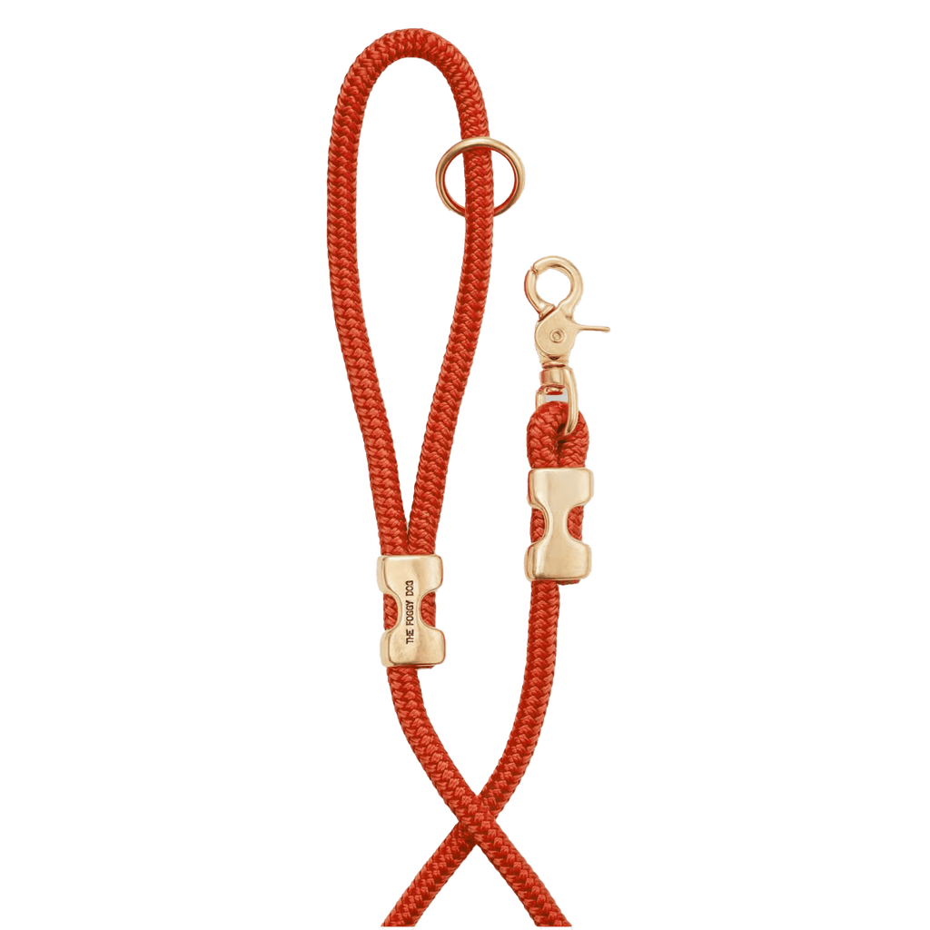 The Foggy Dog Pet 5' Cider Marine Rope Dog Leash